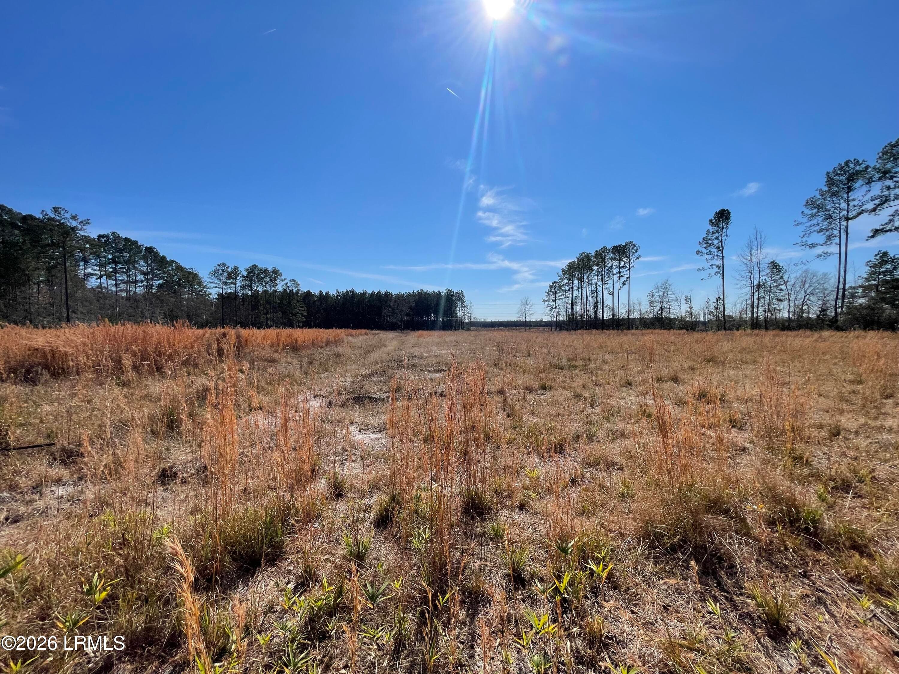 IMG_7149 - 3763 Rice Shire Road, Ridgeland, SC 29936