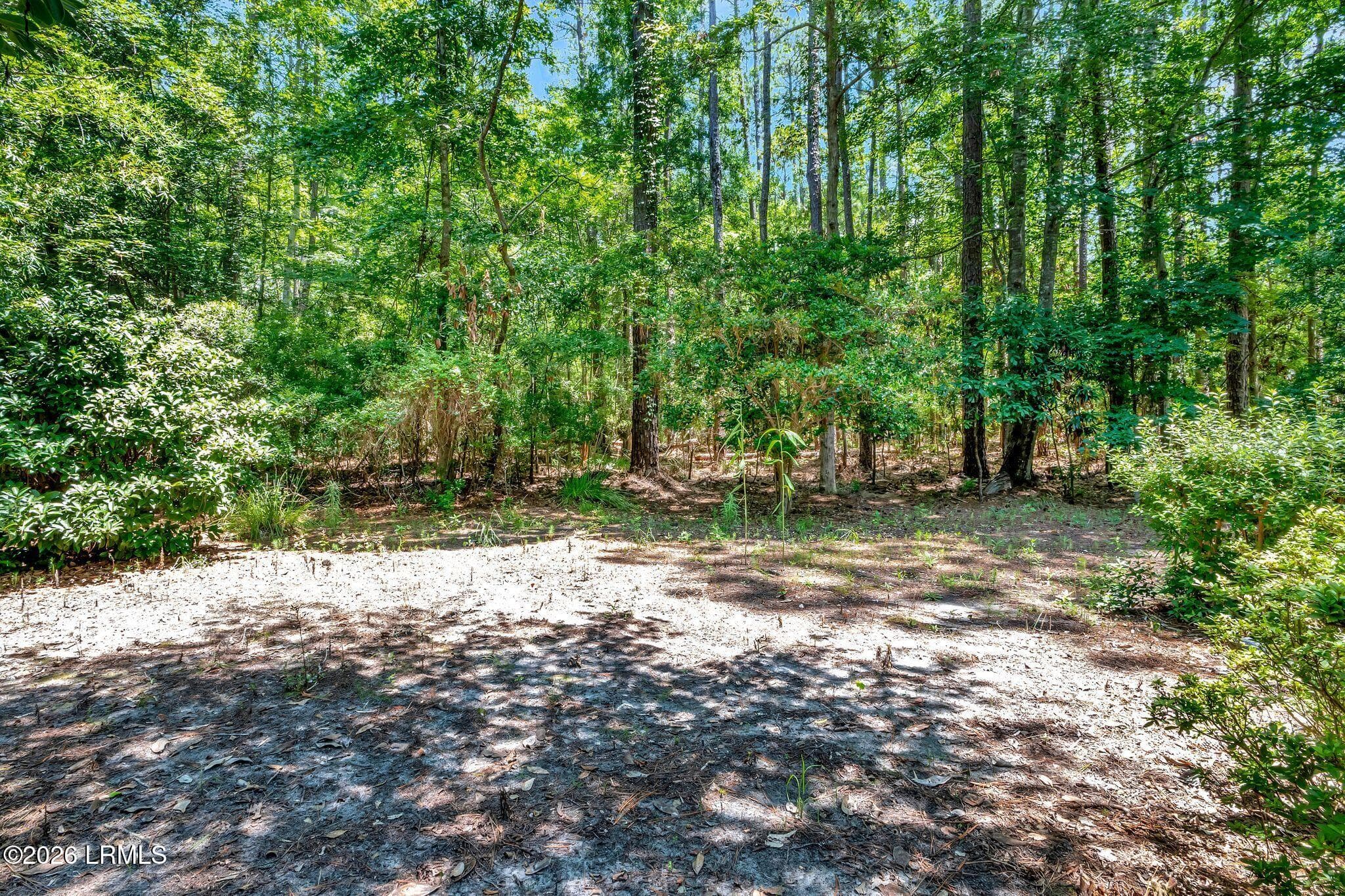 jz2506221-1039 - 21 Cutter Circle, Bluffton, SC 29909