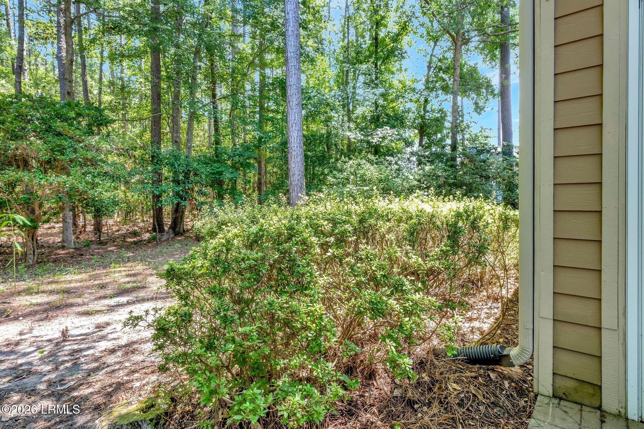 jz2506221-1041 - 21 Cutter Circle, Bluffton, SC 29909
