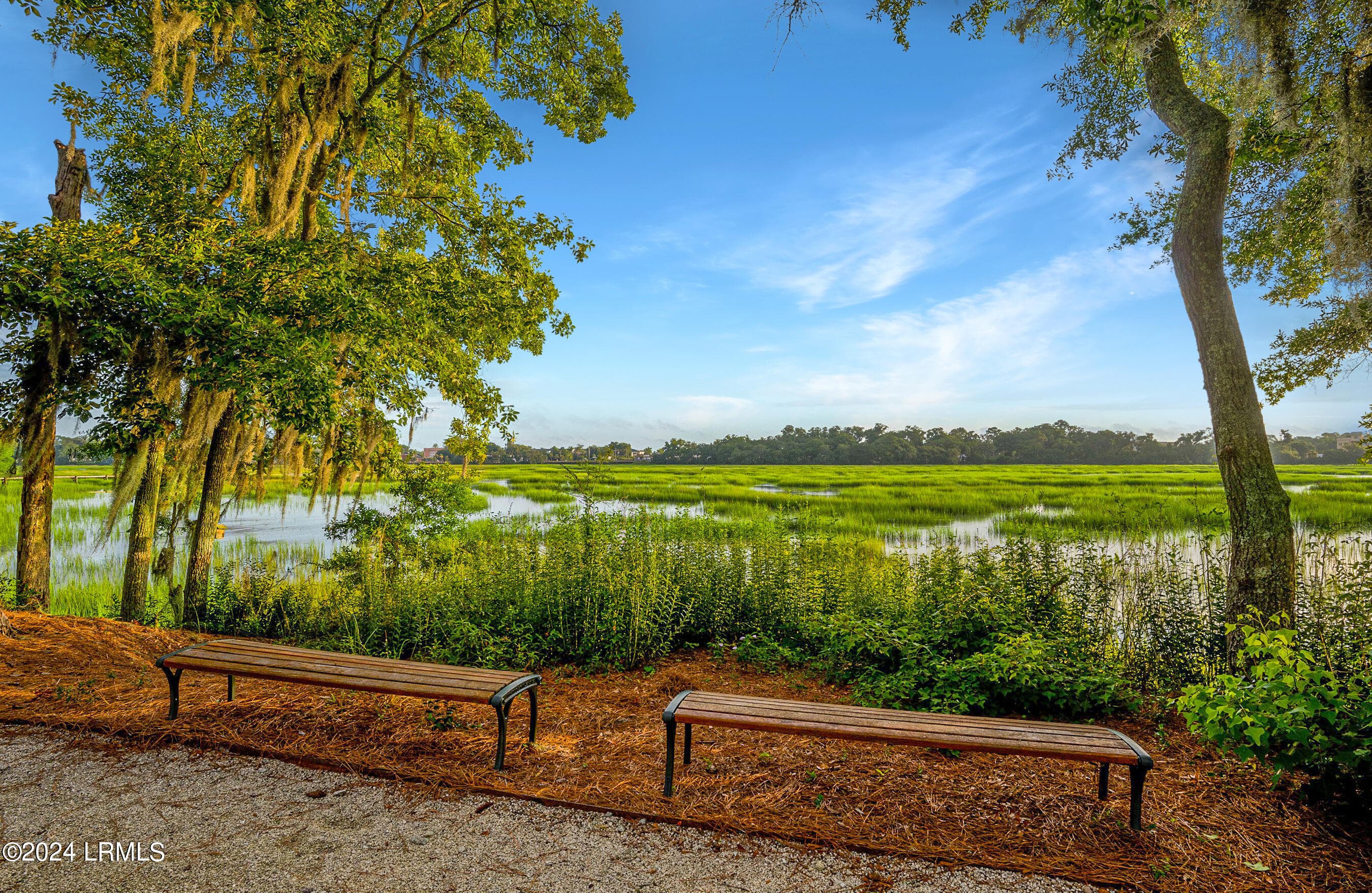 DSC07504-101-HDR-1.jpg-SMALL - 2 Creeks End Lane, Beaufort, SC 29902