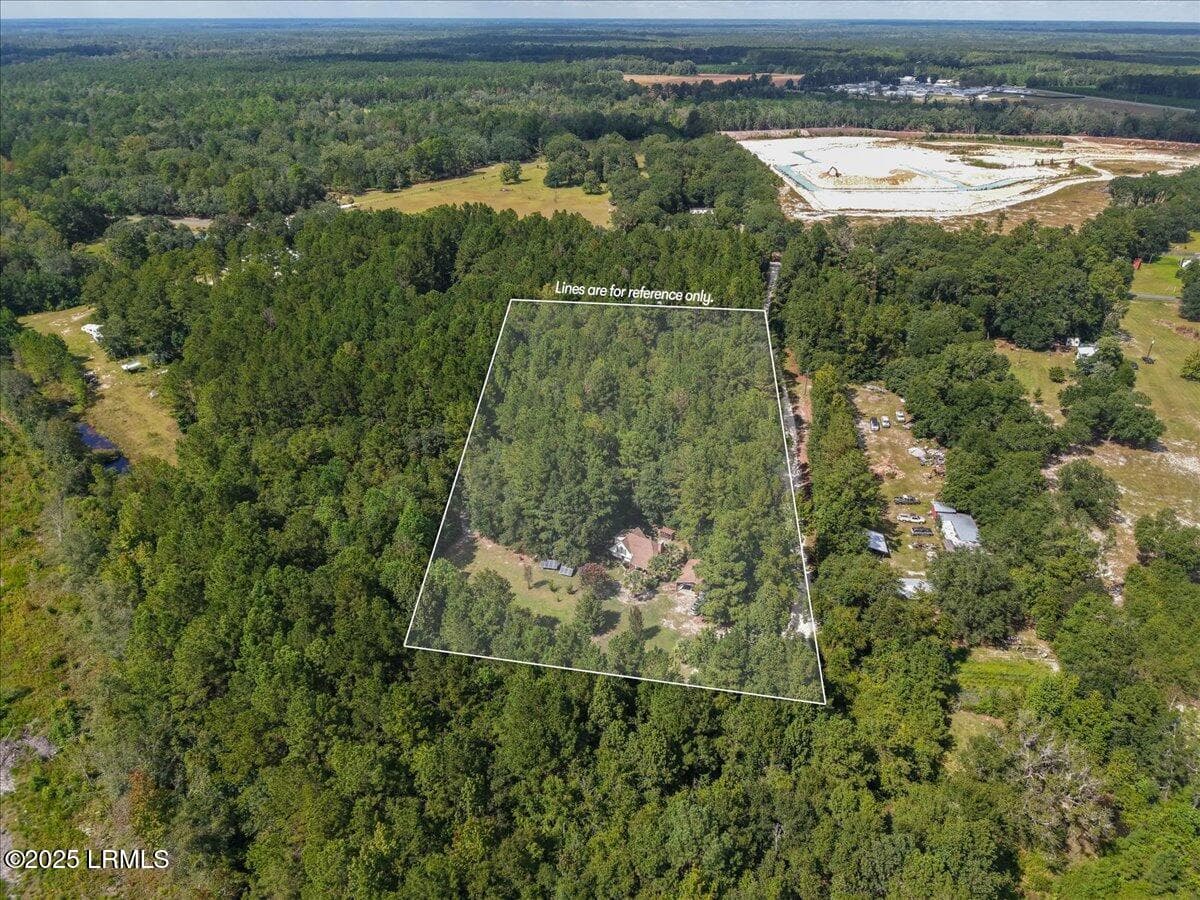 40-Aerial - 168 Walker Road, Early Branch, SC 29916
