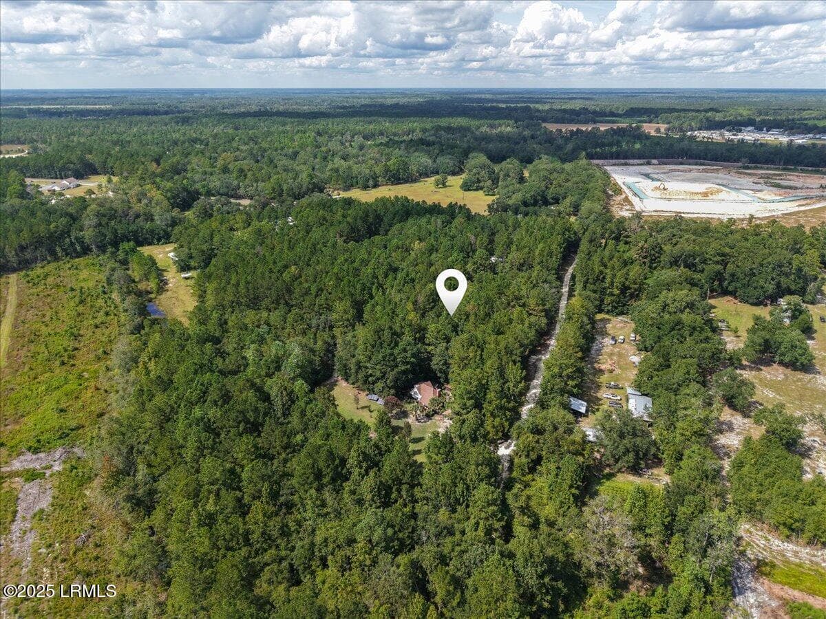 41-Aerial - 168 Walker Road, Early Branch, SC 29916