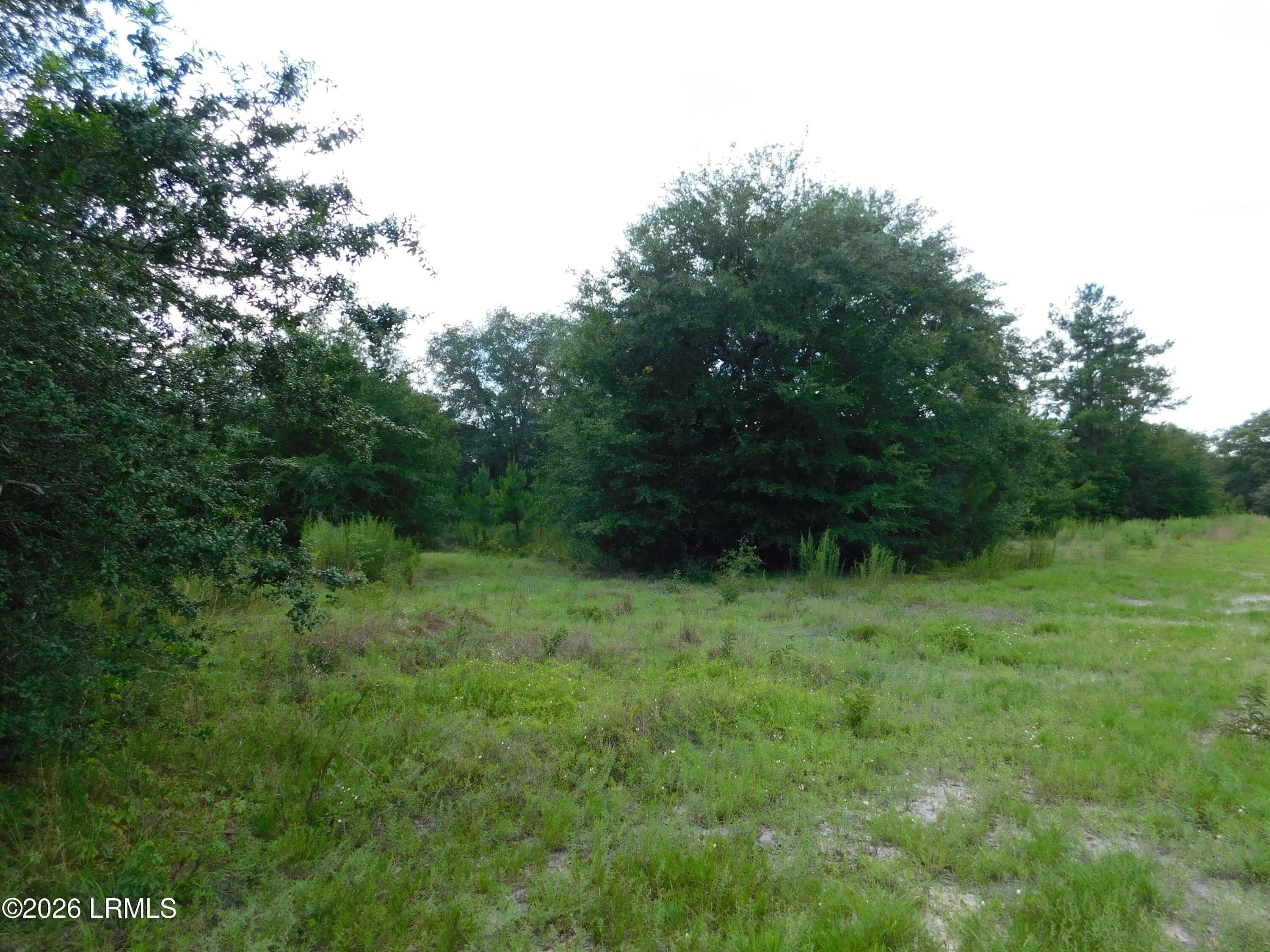 DSCN7242[1] - Tbd Gillison Branch Road, Ridgeland, SC 29936