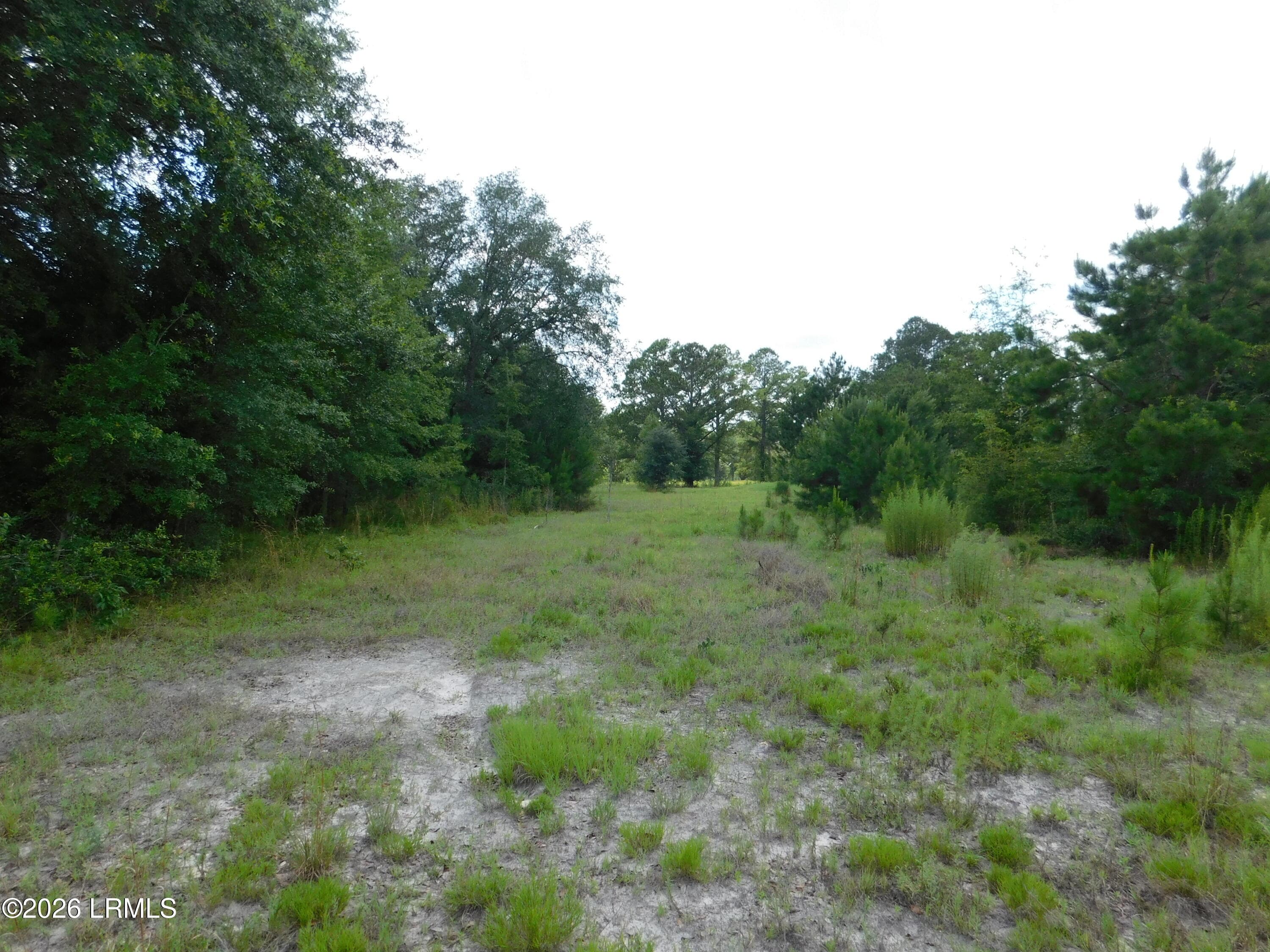 DSCN7244[1] - Tbd Gillison Branch Road, Ridgeland, SC 29936