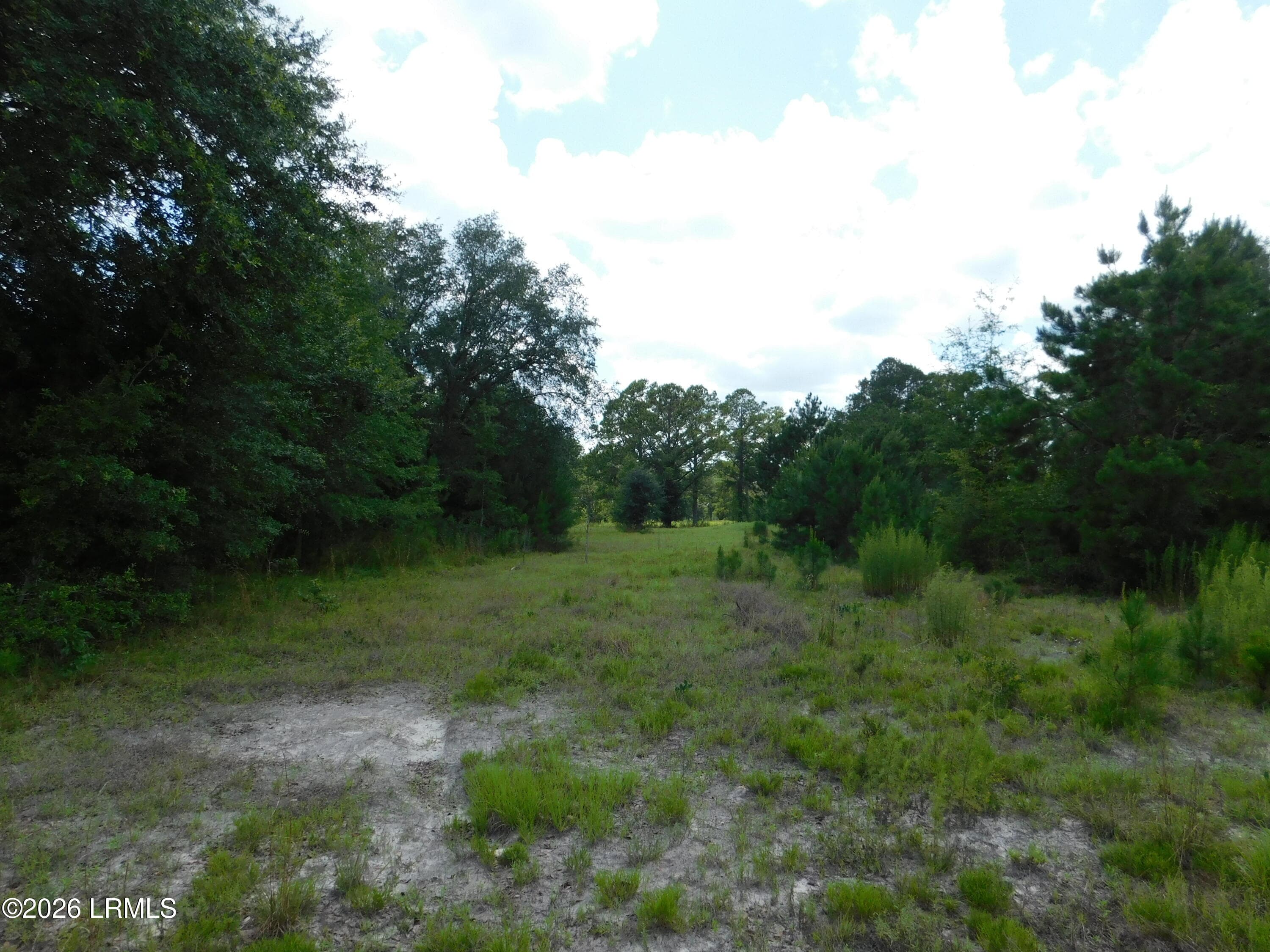 DSCN7245[1] - Tbd Gillison Branch Road, Ridgeland, SC 29936