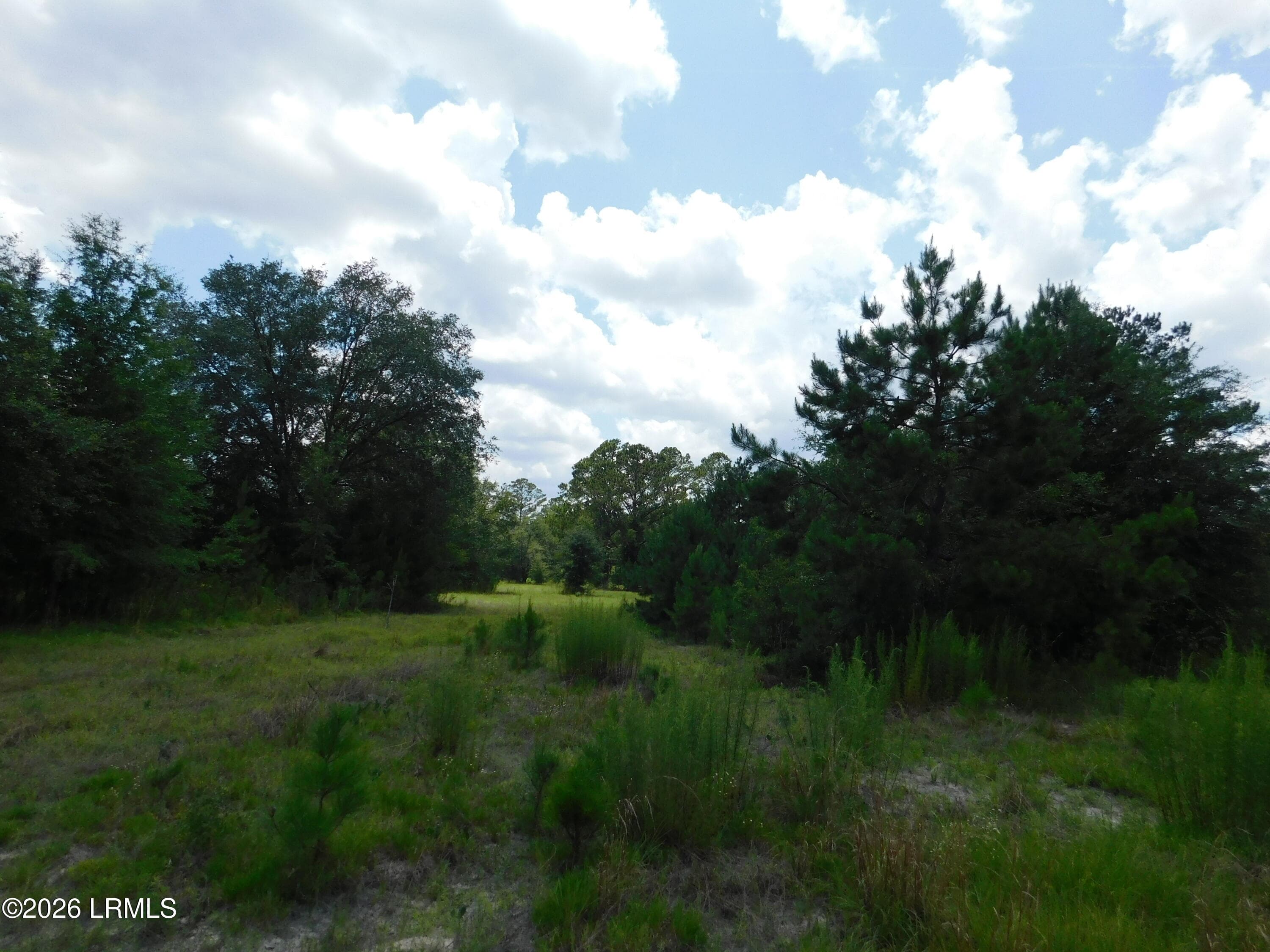 DSCN7246[1] - Tbd Gillison Branch Road, Ridgeland, SC 29936