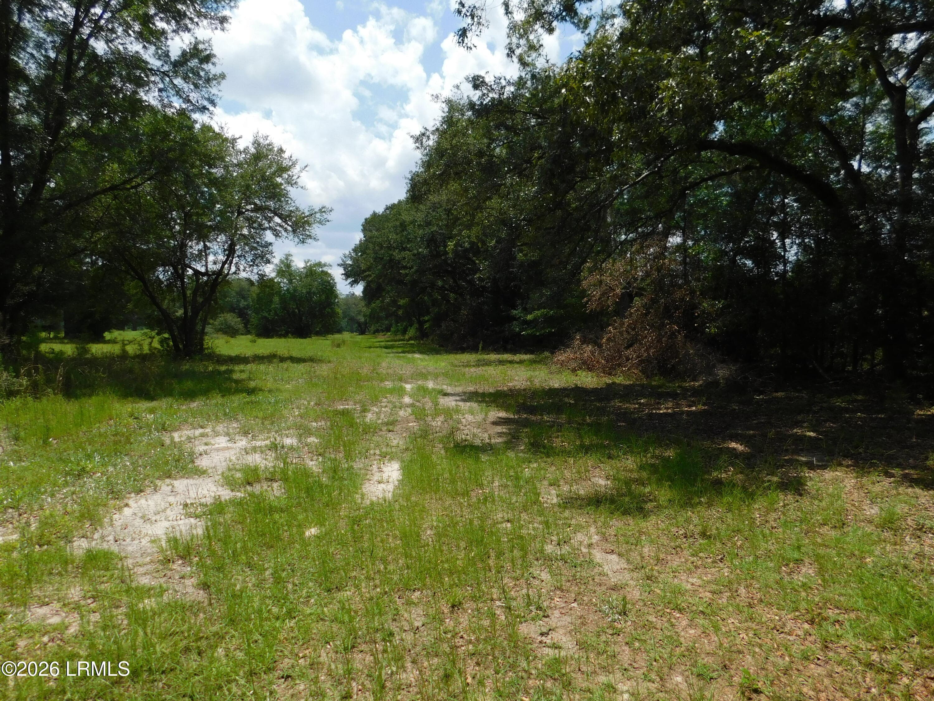 DSCN7248[1] - Tbd Gillison Branch Road, Ridgeland, SC 29936