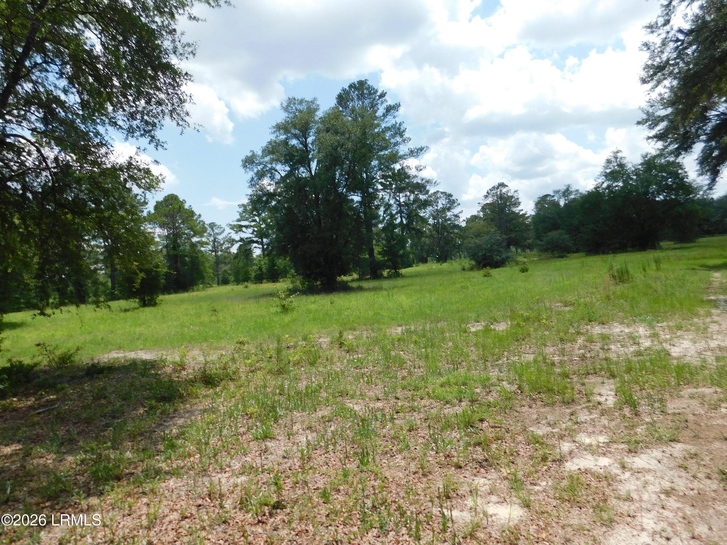 DSCN7251[1] - Tbd Gillison Branch Road, Ridgeland, SC 29936