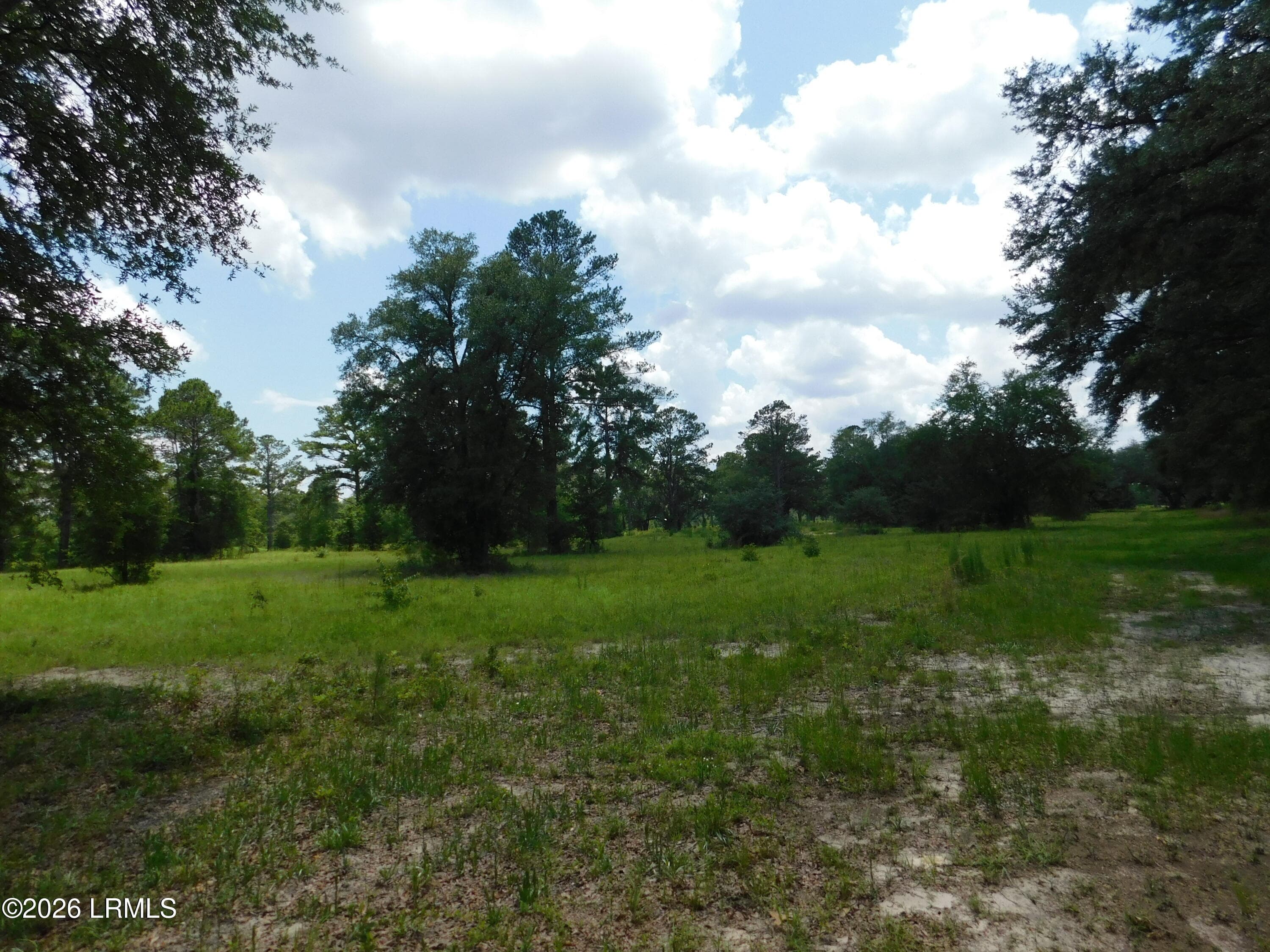DSCN7252[1] - Tbd Gillison Branch Road, Ridgeland, SC 29936