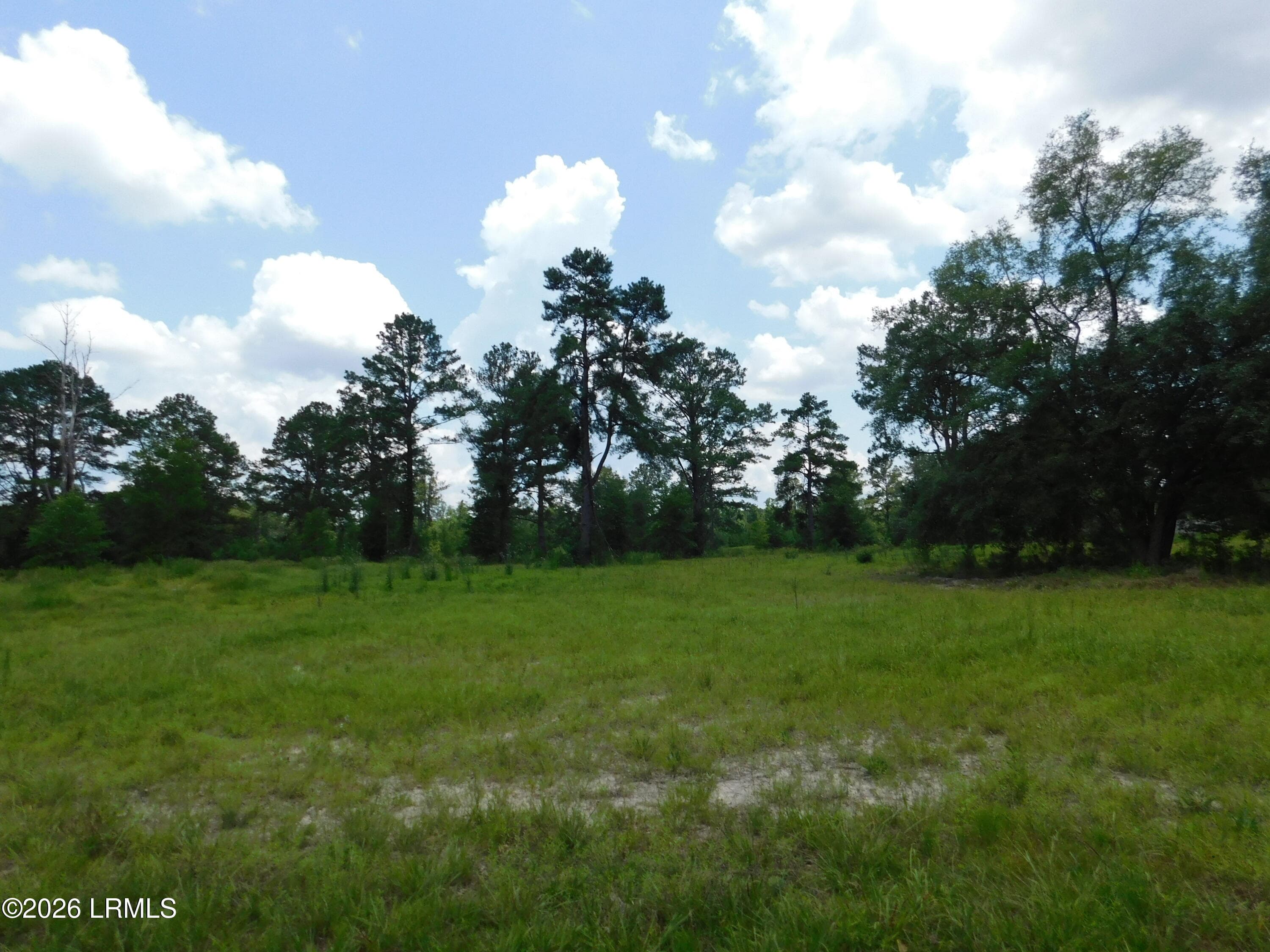 DSCN7256[1] - Tbd Gillison Branch Road, Ridgeland, SC 29936
