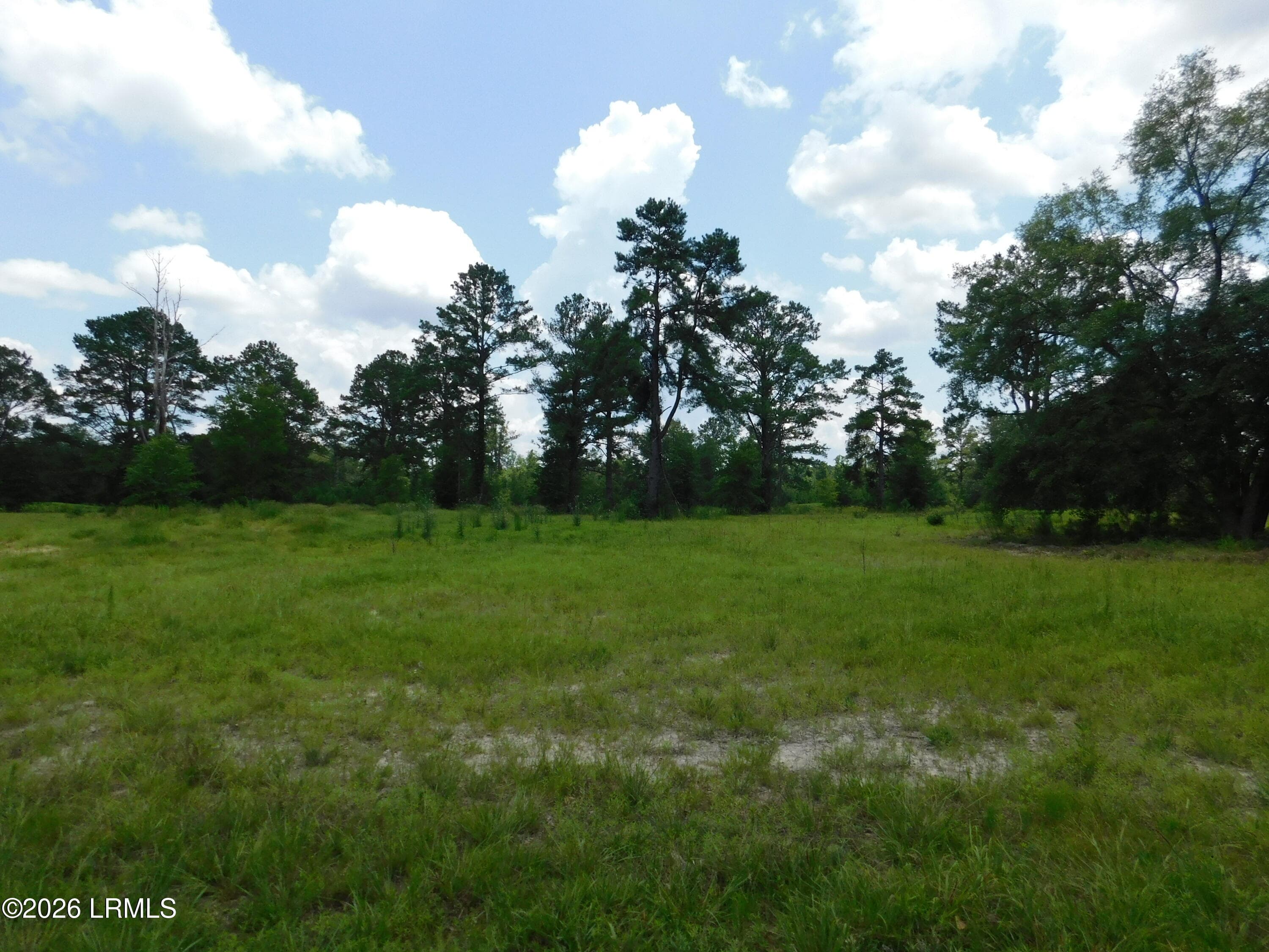 DSCN7257[1] - Tbd Gillison Branch Road, Ridgeland, SC 29936