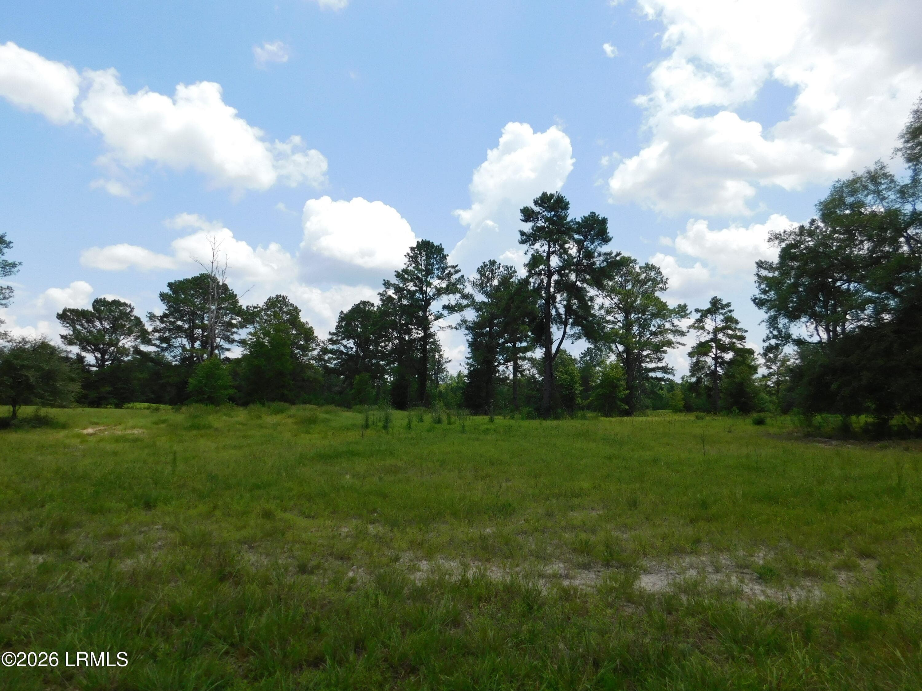 DSCN7258[1] - Tbd Gillison Branch Road, Ridgeland, SC 29936