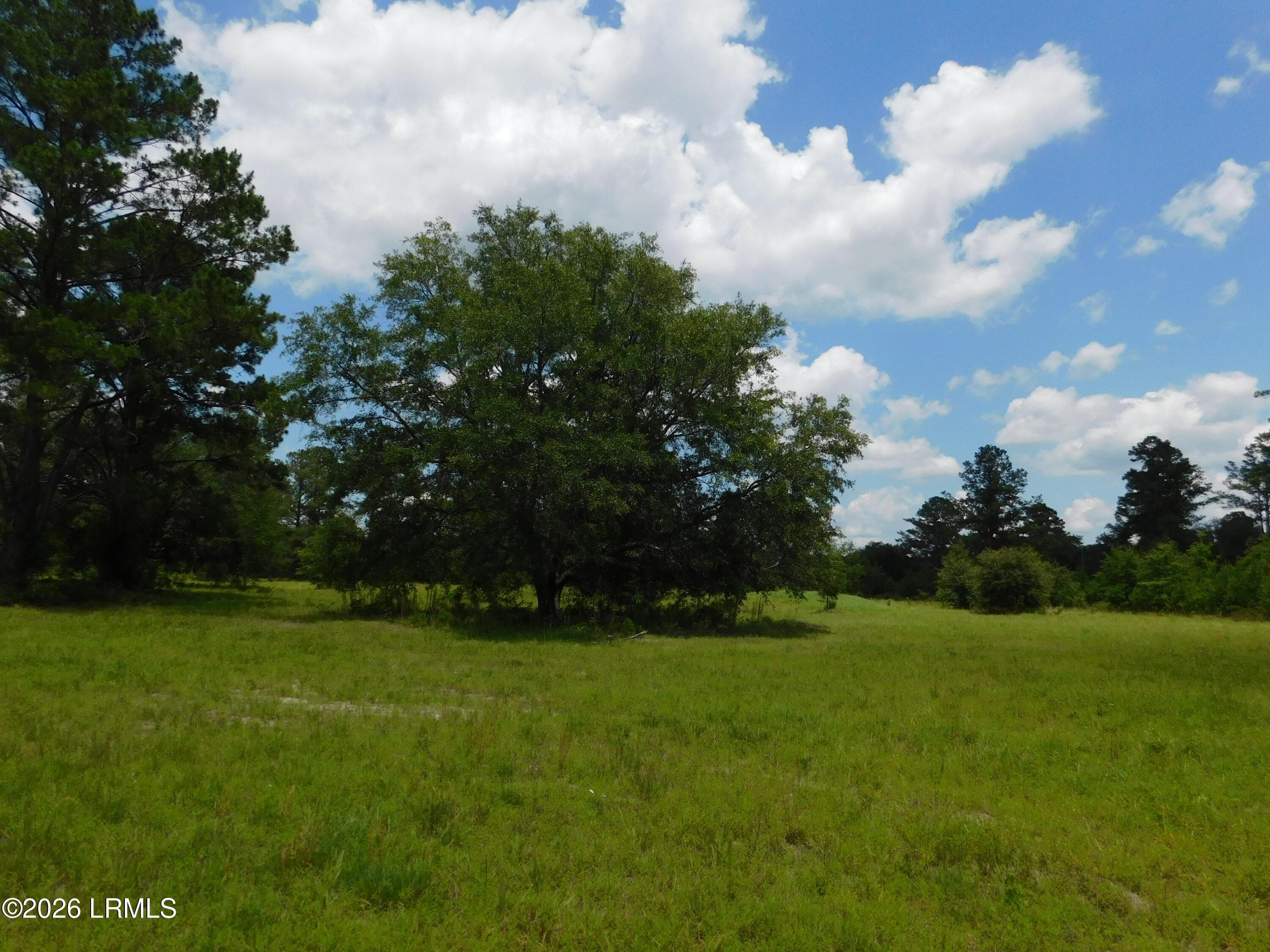 DSCN7259[1] - Tbd Gillison Branch Road, Ridgeland, SC 29936