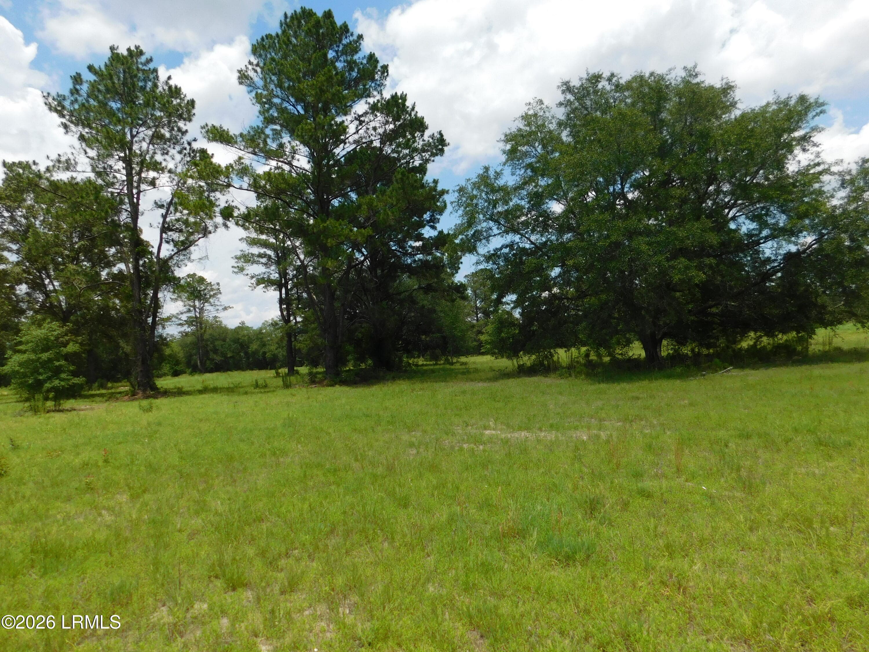 DSCN7261[1] - Tbd Gillison Branch Road, Ridgeland, SC 29936