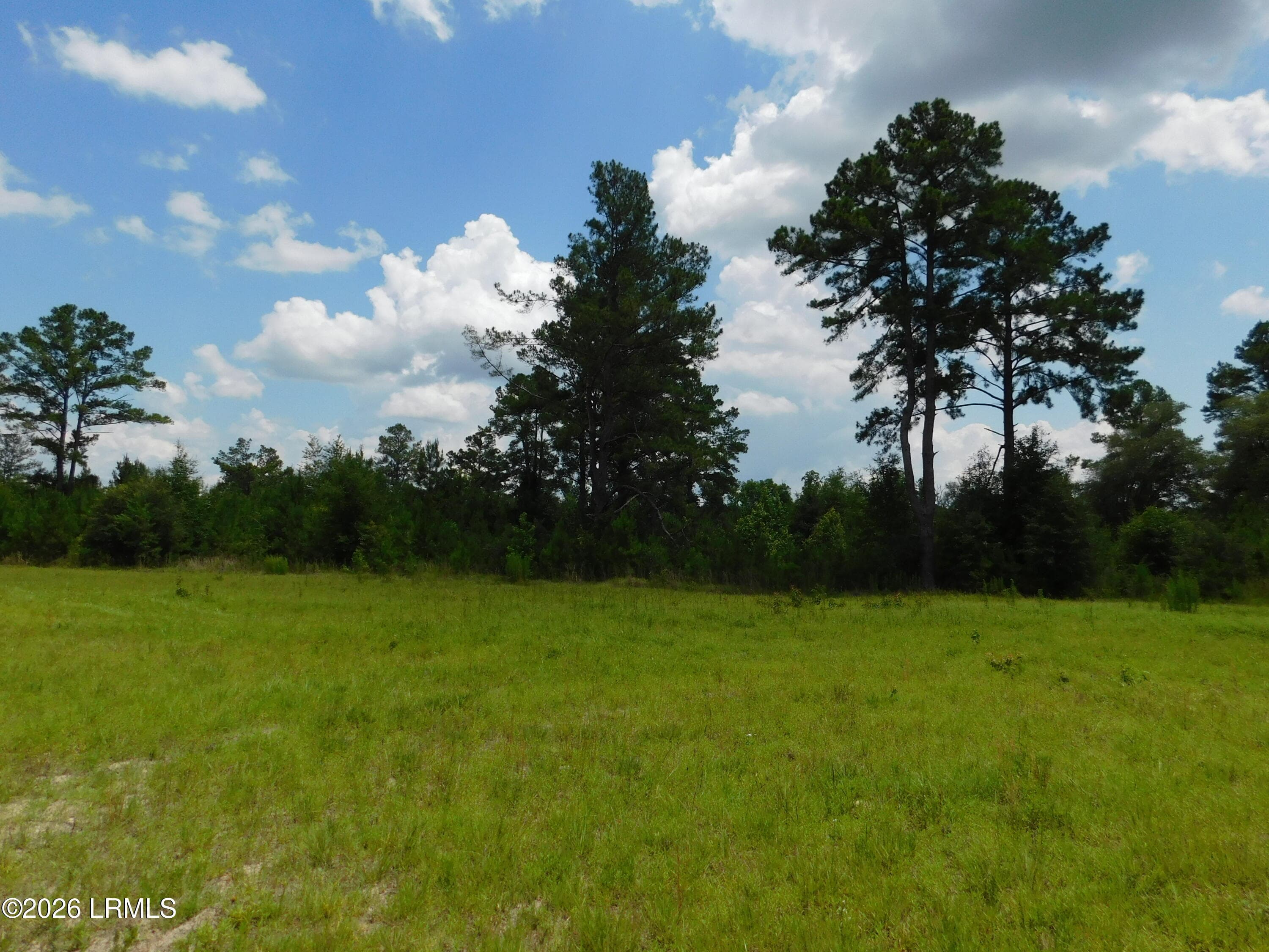 DSCN7262[1] - Tbd Gillison Branch Road, Ridgeland, SC 29936