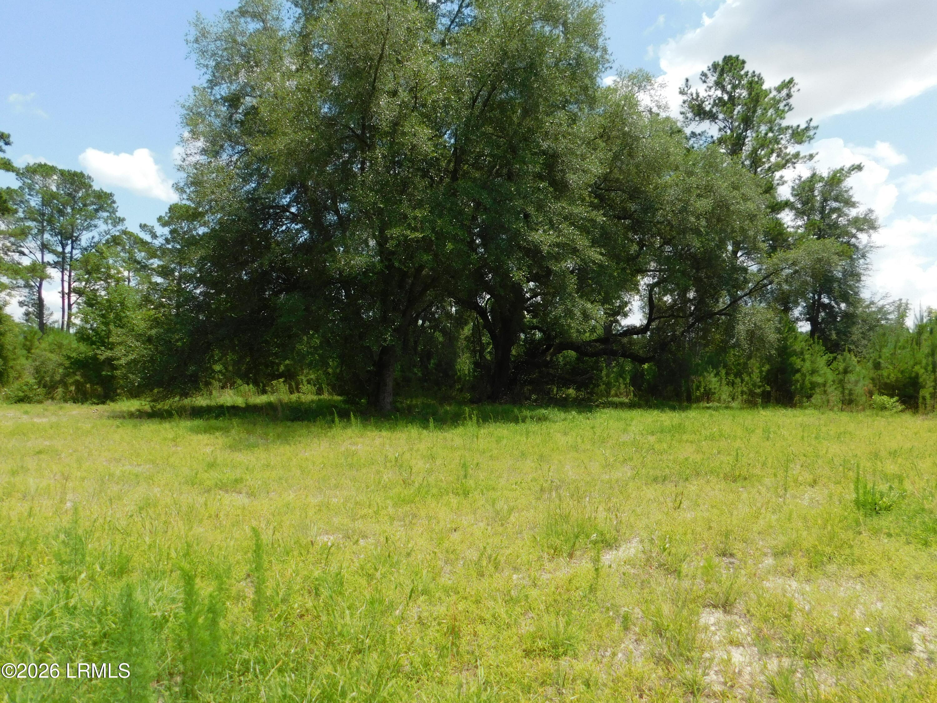 DSCN7263[1] - Tbd Gillison Branch Road, Ridgeland, SC 29936