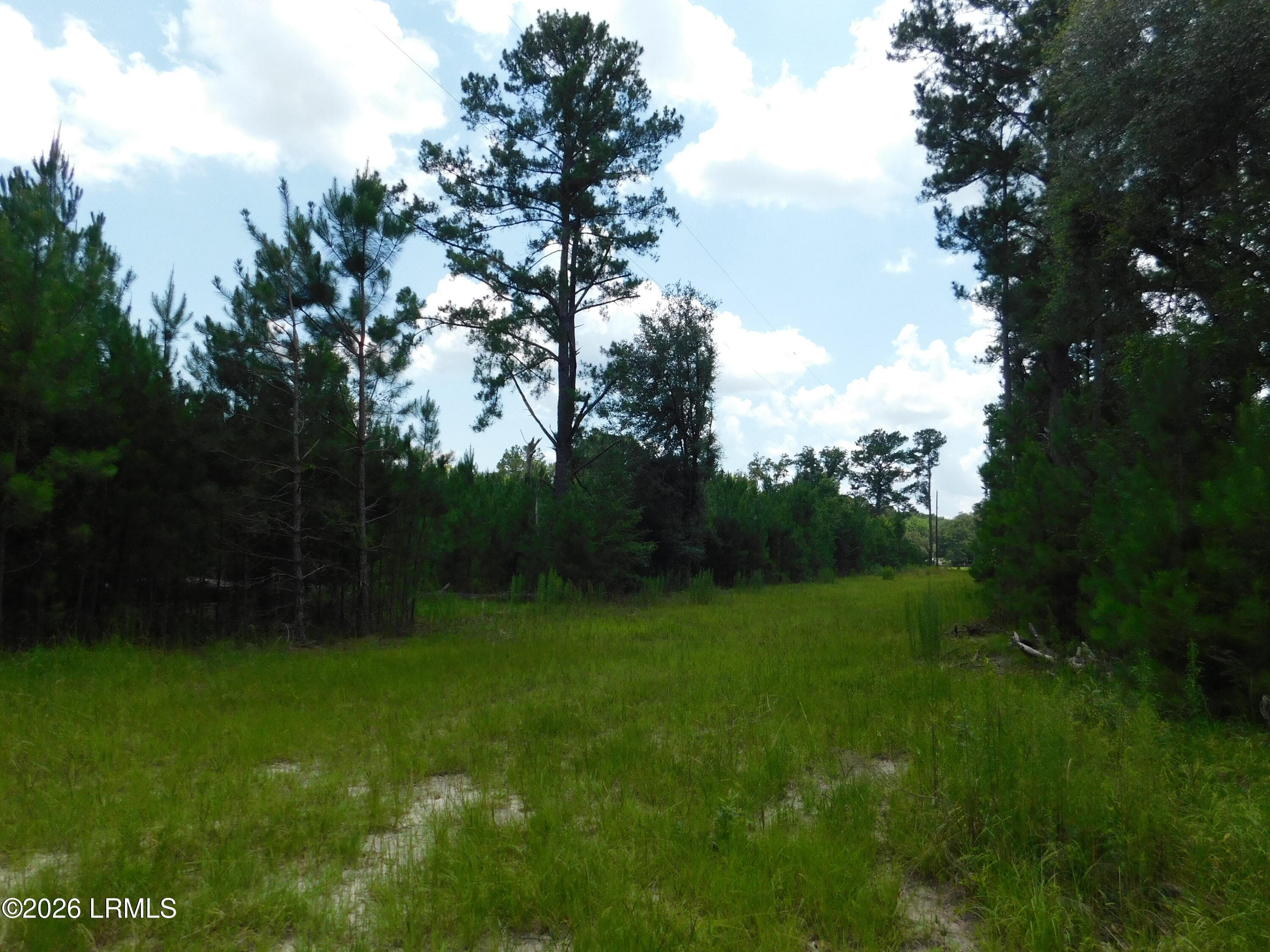 DSCN7265[1] - Tbd Gillison Branch Road, Ridgeland, SC 29936