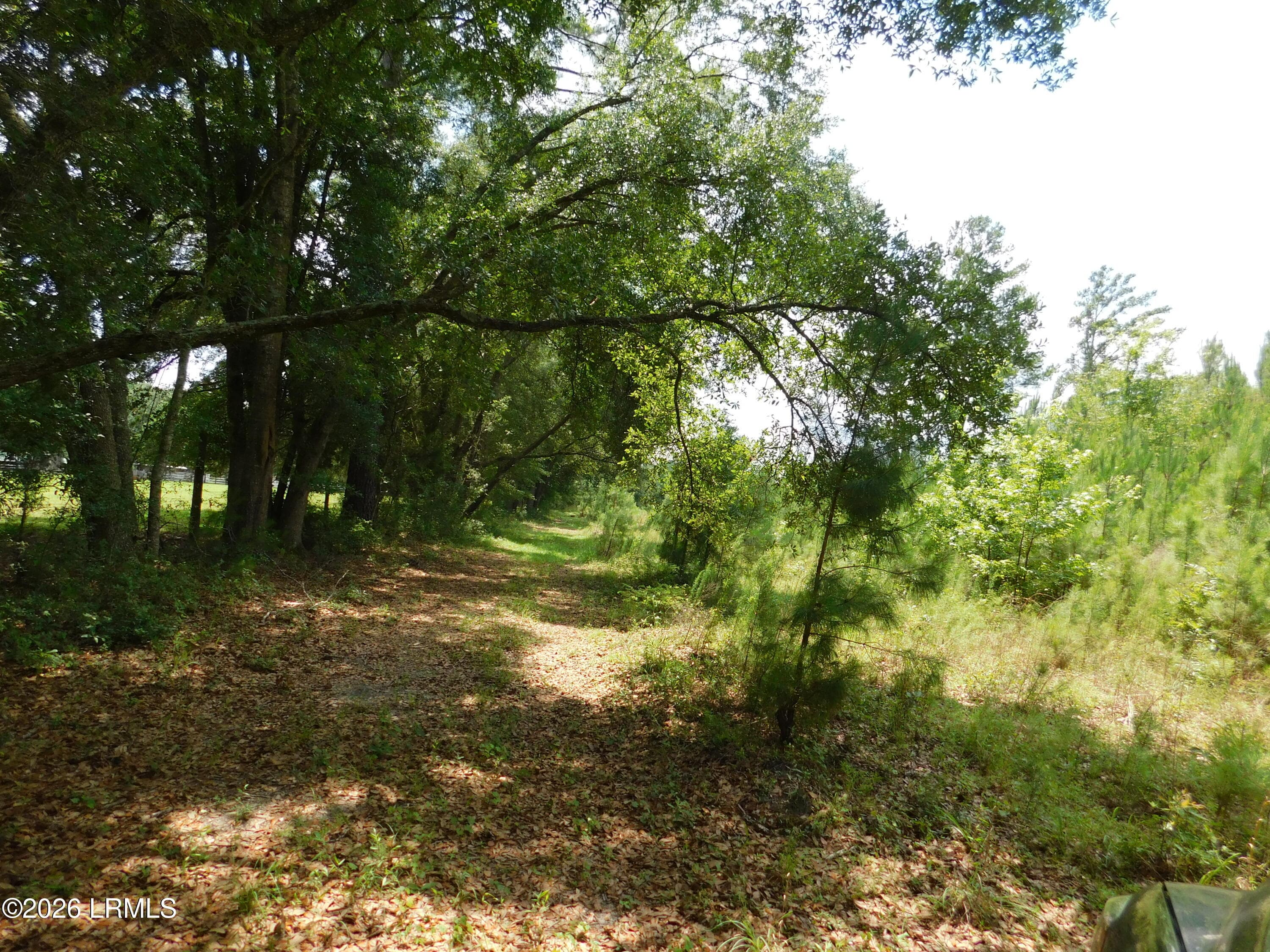DSCN7267[1] - Tbd Gillison Branch Road, Ridgeland, SC 29936
