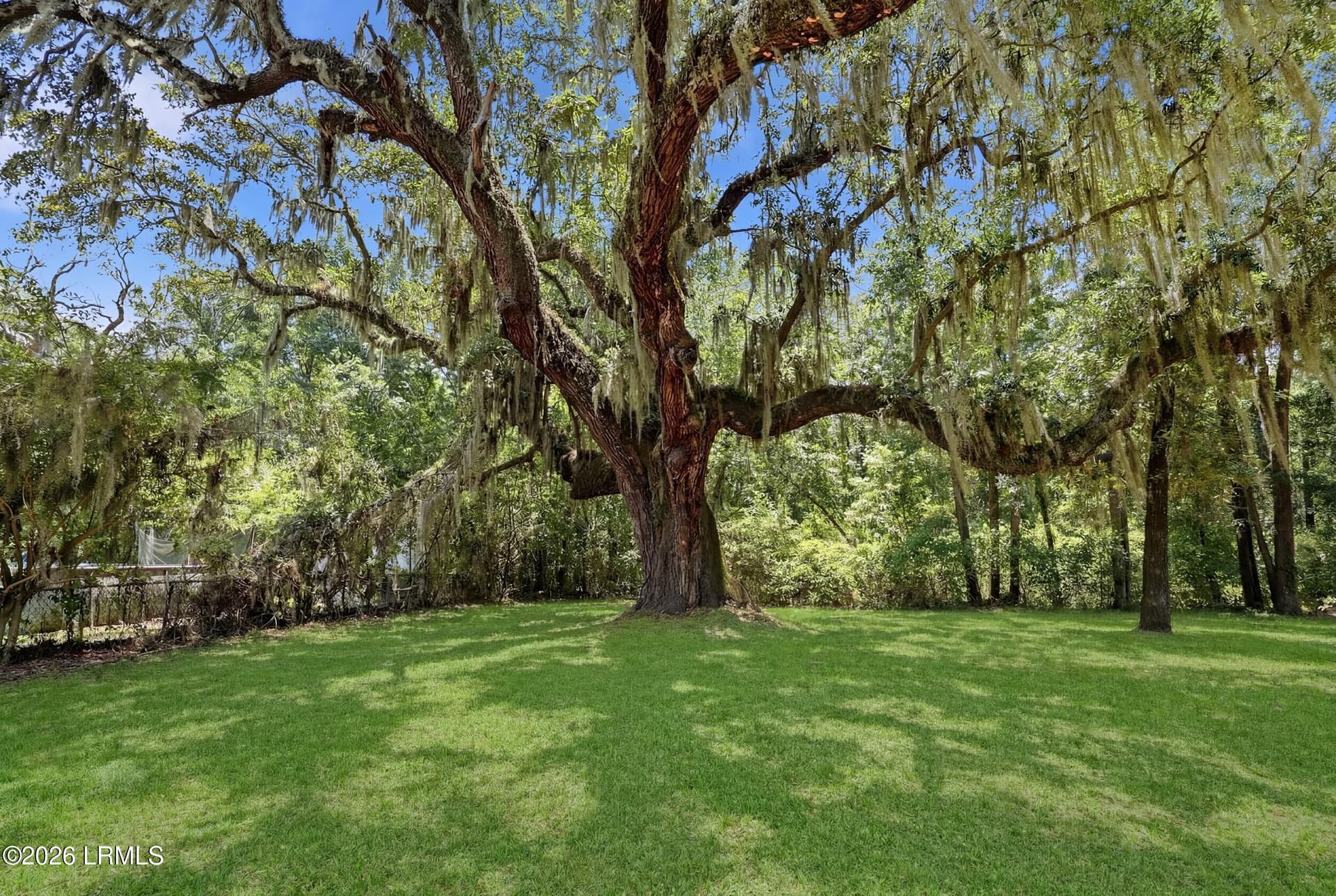 50_dsc07402-2 - 42 Roseida Road Exd, Beaufort, SC 29906