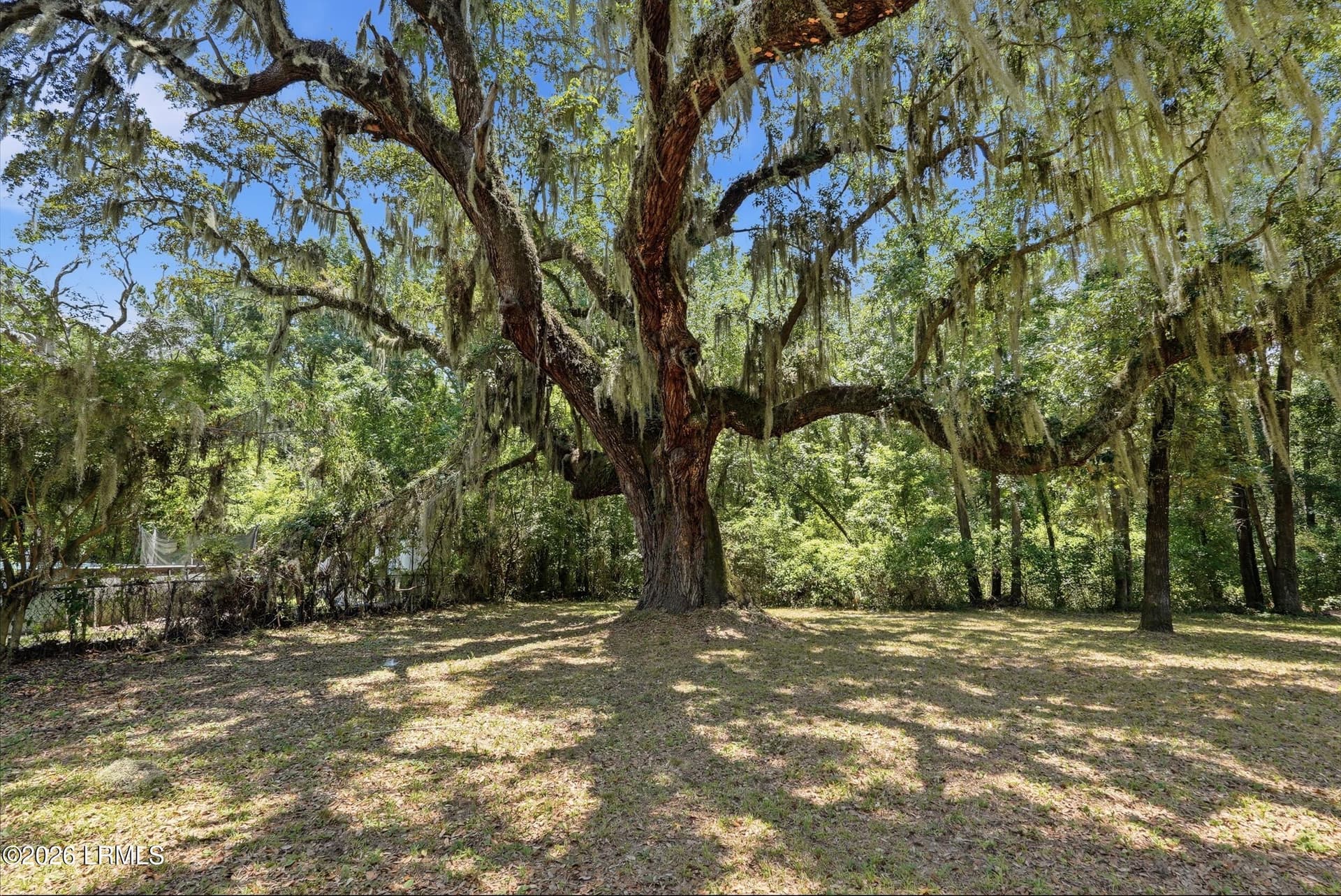 51_dsc07402 - 42 Roseida Road Exd, Beaufort, SC 29906