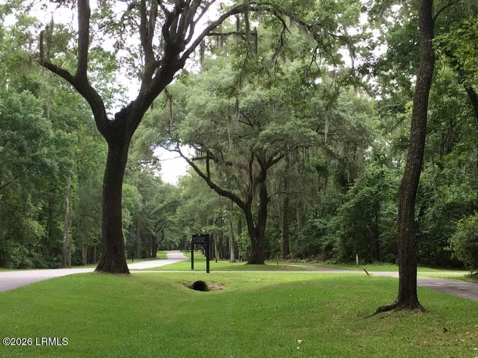 street - 85 Tomotley Barony Drive, Seabrook, SC 29940, Seabrook