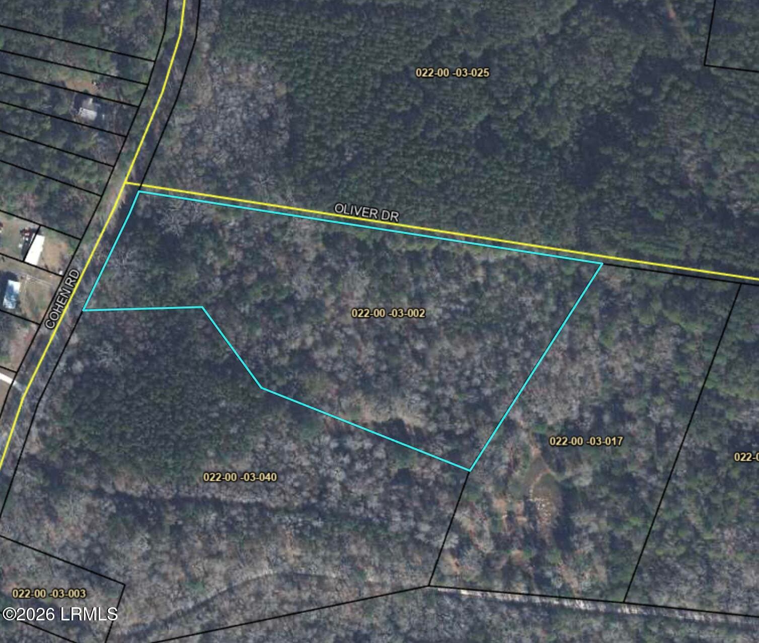 Aerial - Tbd Cohen Road, Pineland, SC 29934