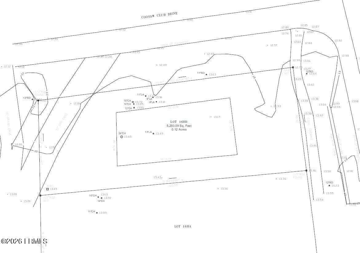 Survey - 229 Coosaw Point Boulevard, Lady's Island, SC 29907