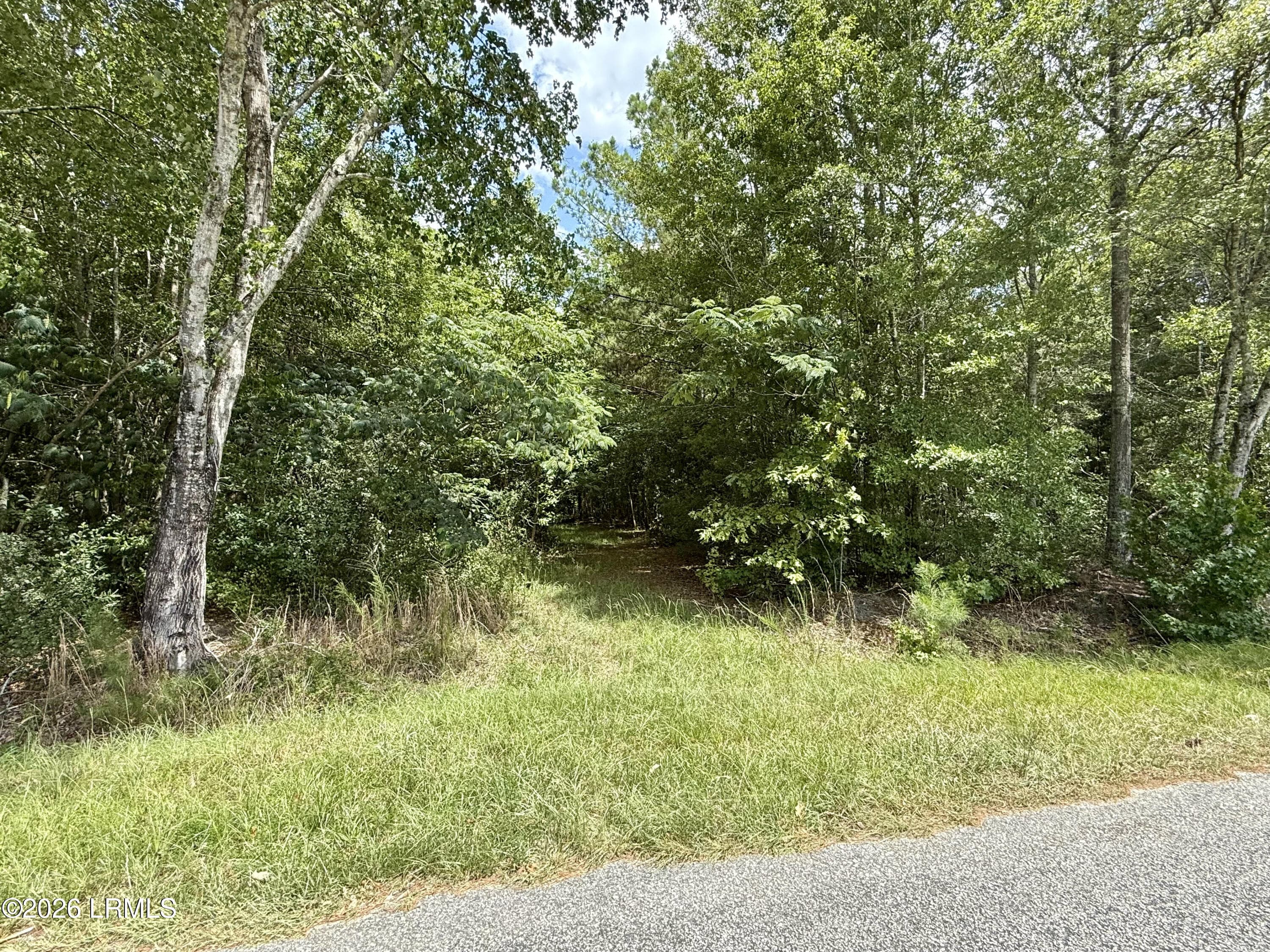 IMG_0414 - Tbd Cohen Road, Pineland, SC 29934