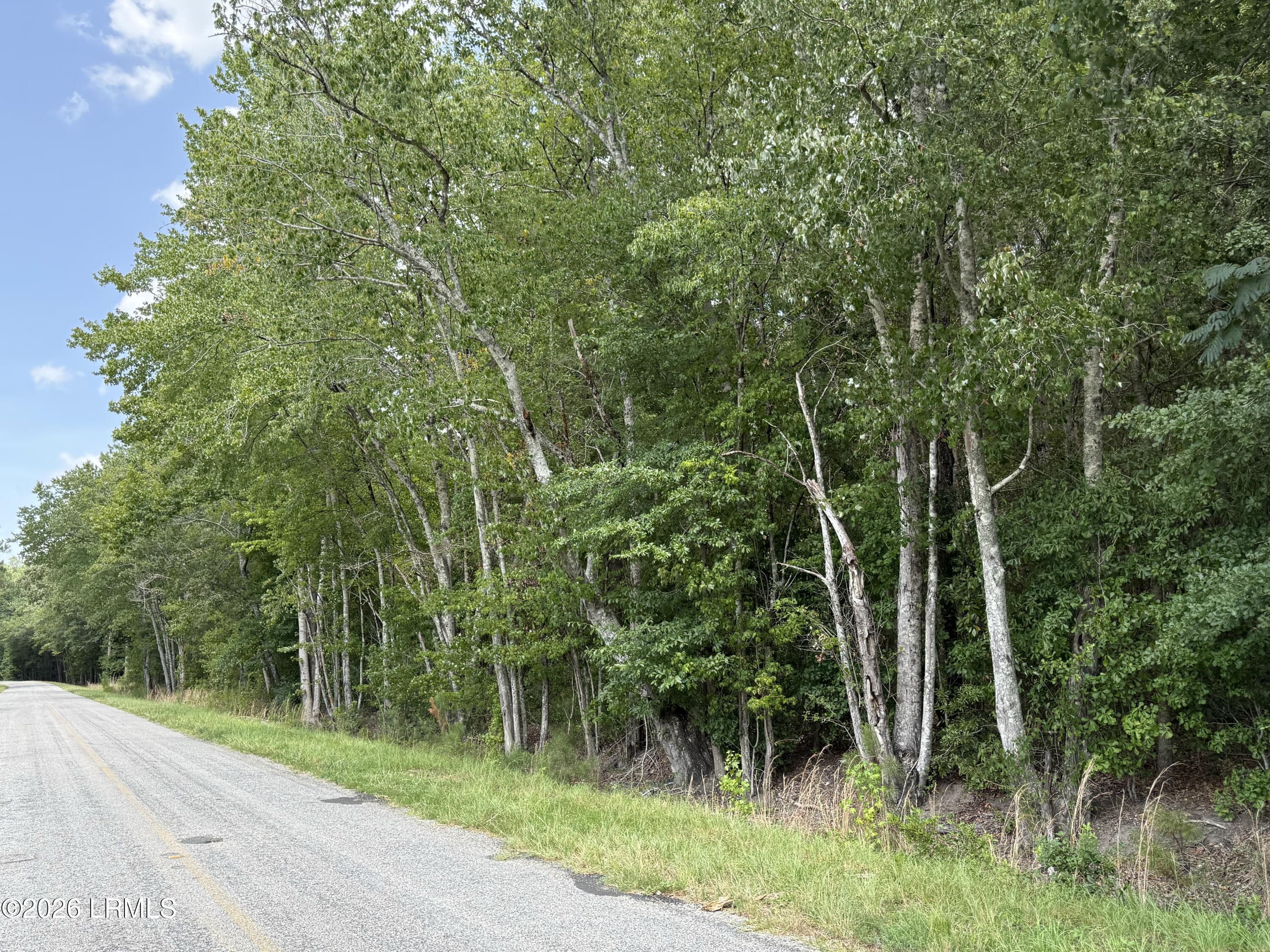 IMG_0411 - Tbd Cohen Road, Pineland, SC 29934