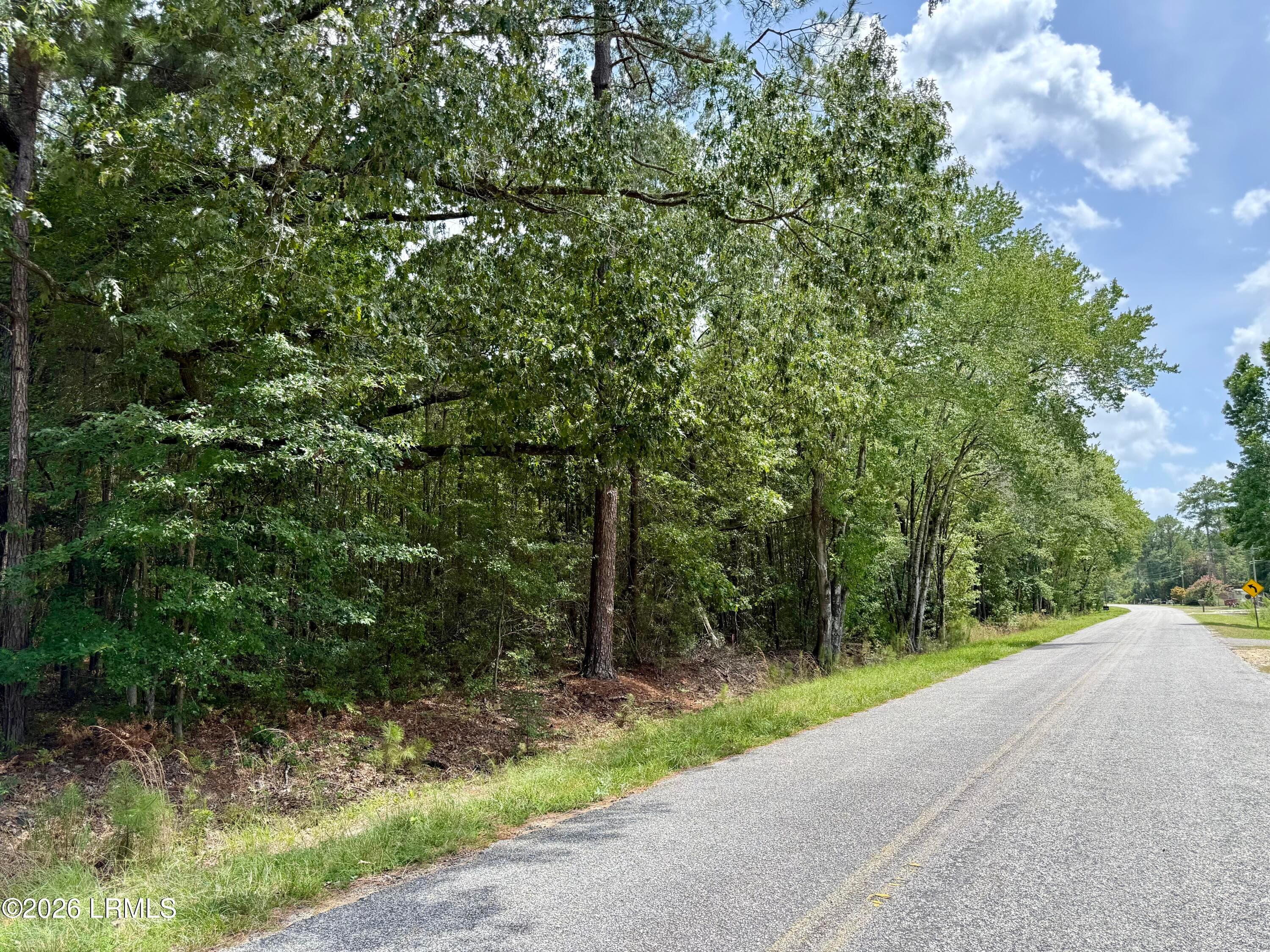 IMG_0408 - Tbd Cohen Road, Pineland, SC 29934