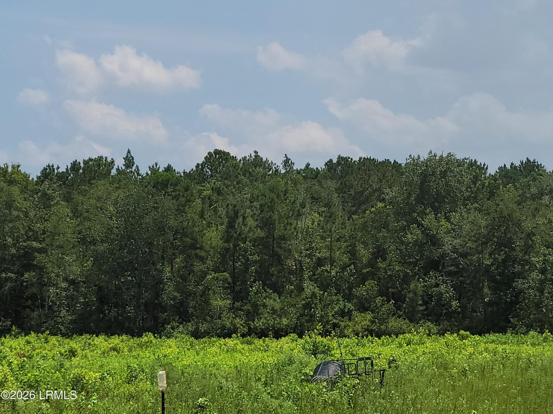 Tbd Toomerville Loop, Hardeeville, SC 29927