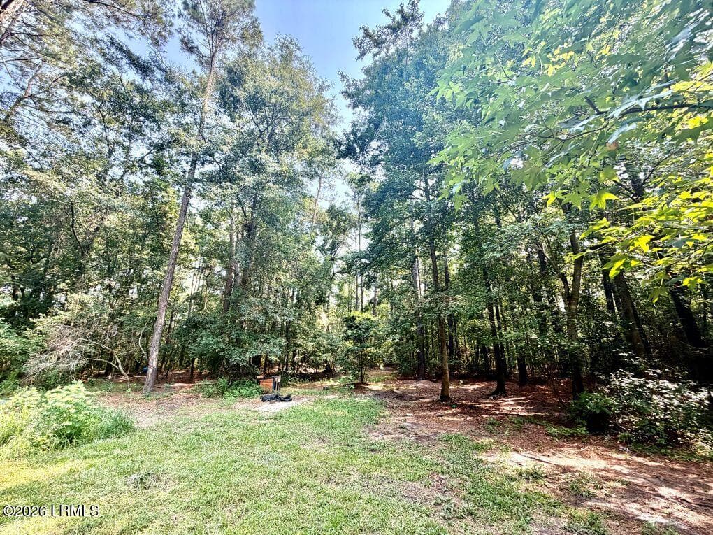Property Lot (1) - 179 Song Bird Drive, Round O, SC 29474