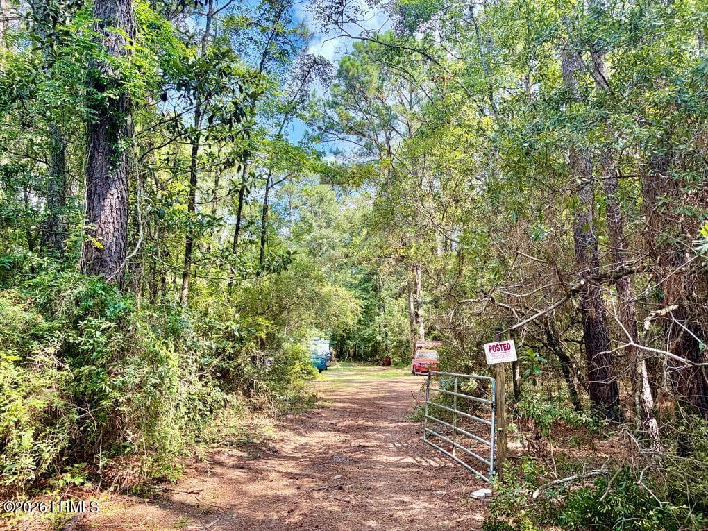 Property Lot (3) - 179 Song Bird Drive, Round O, SC 29474