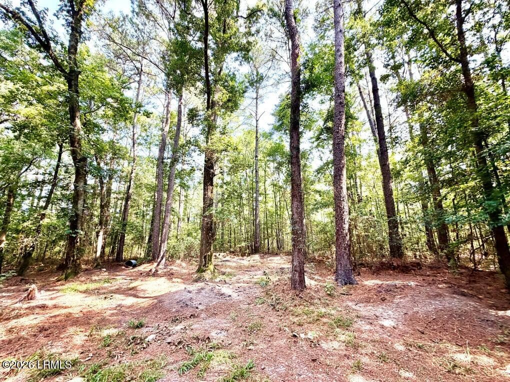 Property Lot (4) - 179 Song Bird Drive, Round O, SC 29474