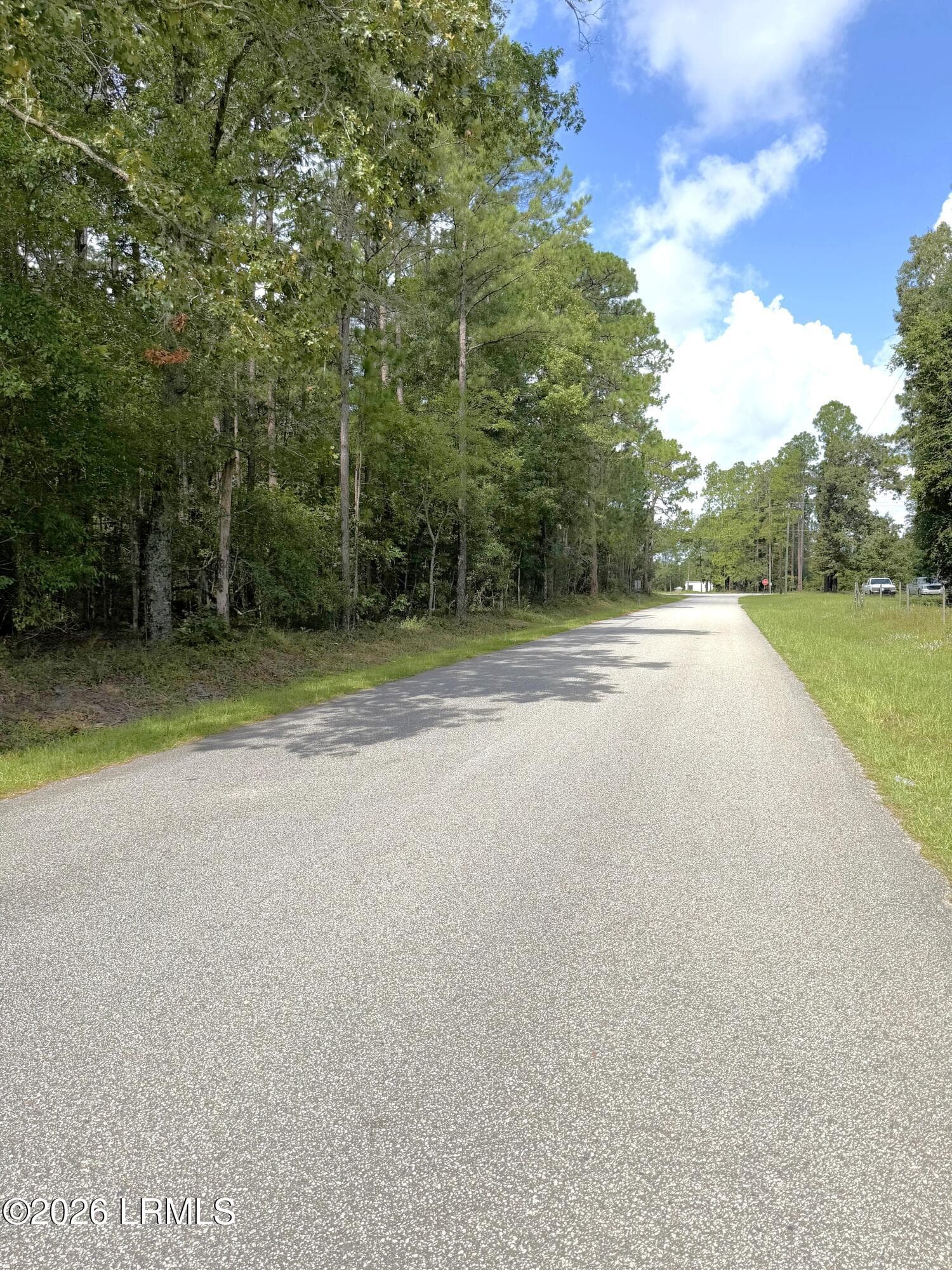 Photo Aug 07 2026, 10 35 08 AM - 76 Honey Drive, Walterboro, SC 29488