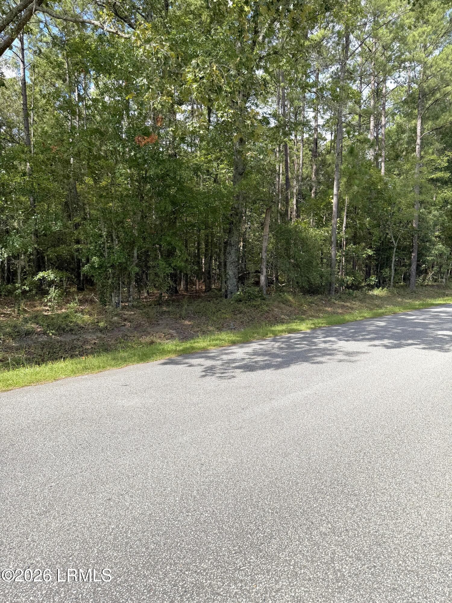 Photo Aug 07 2026, 10 35 17 AM - 76 Honey Drive, Walterboro, SC 29488