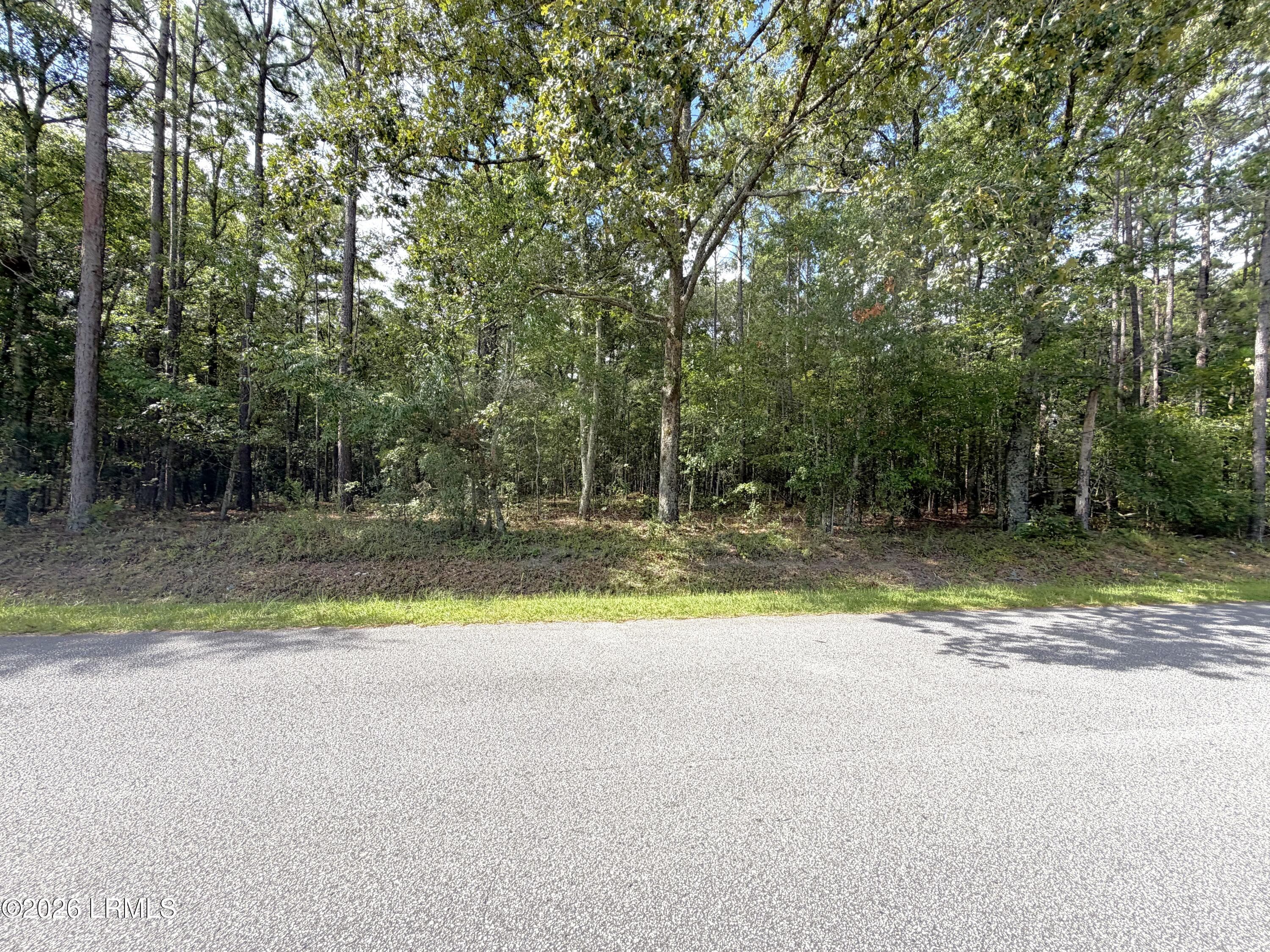 Photo Aug 07 2026, 10 35 34 AM - 76 Honey Drive, Walterboro, SC 29488
