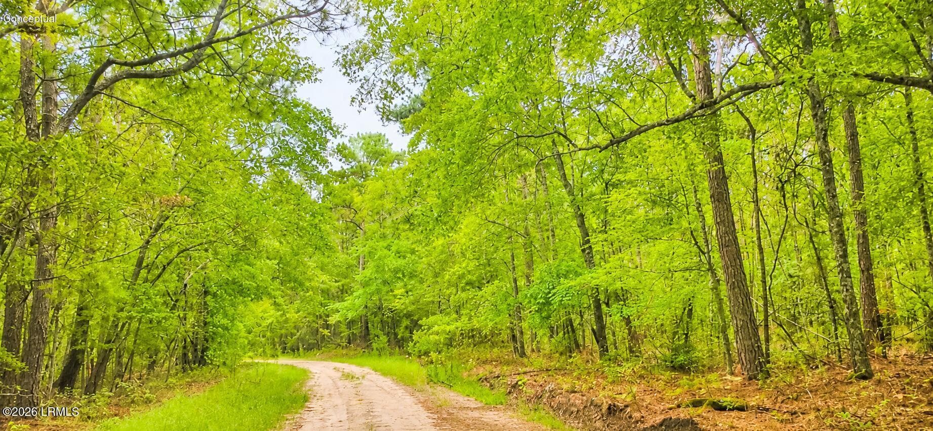 00 Wade Hampton Road, Hampton, SC 29924