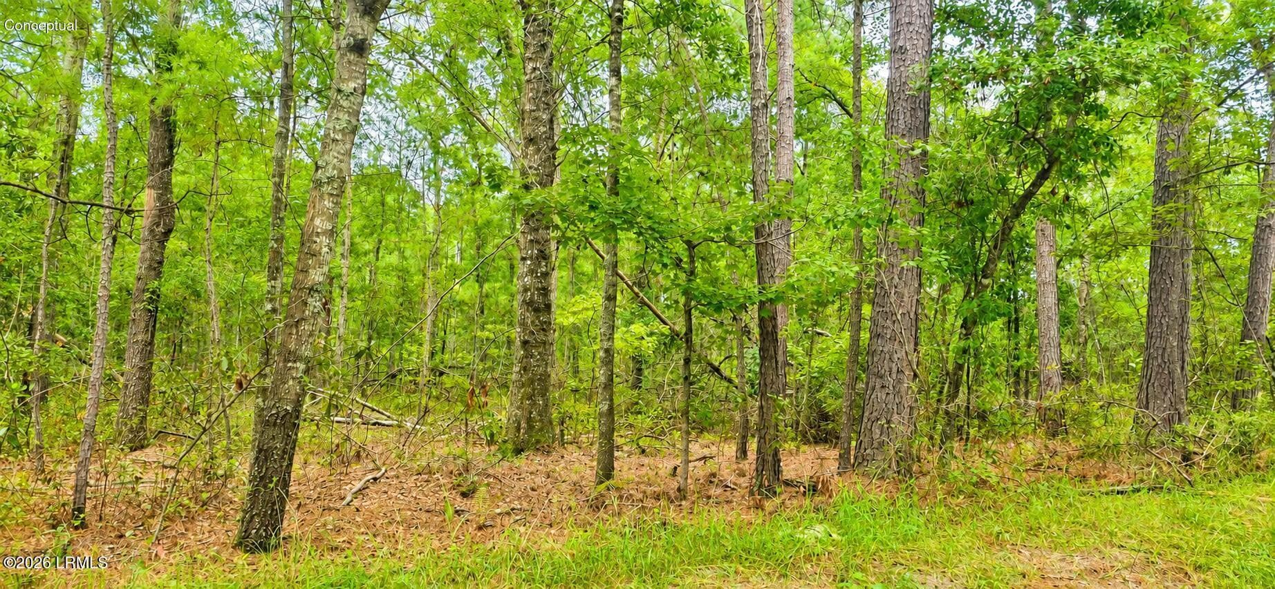 13ba9f03-9a11-4a94-b241-1aa43b20bb4b - 00 Wade Hampton Road, Hampton, SC 29924, Hampton