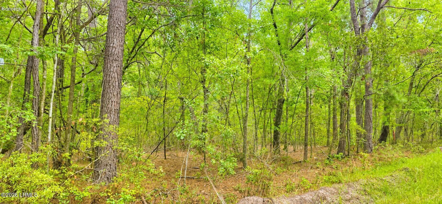 c0121832-7778-4213-8ff6-2300ed9adc5e - 00 Wade Hampton Road, Hampton, SC 29924, Hampton