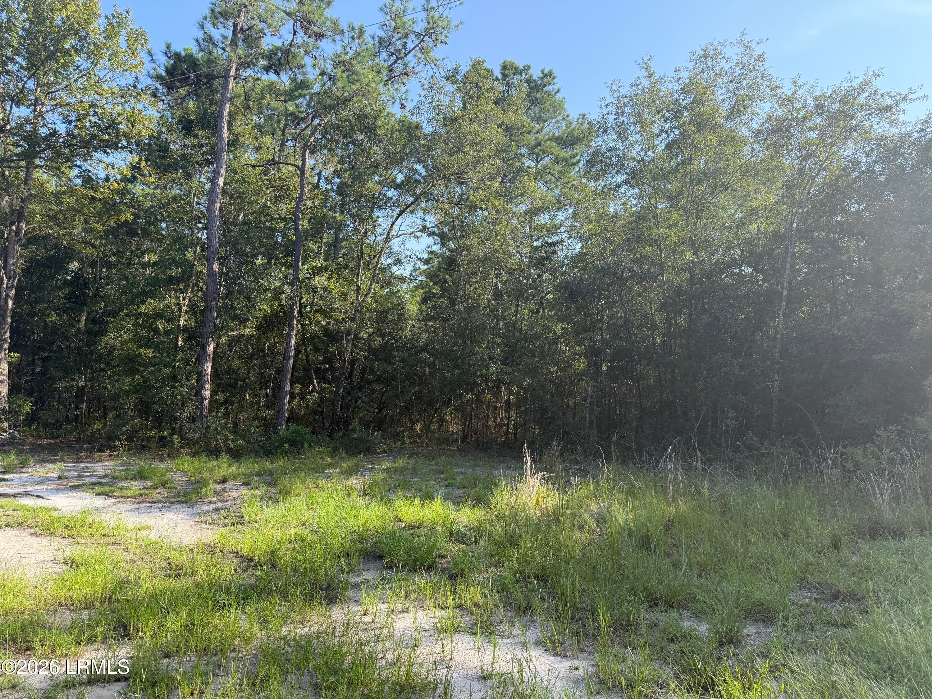 60 Rosa Scott Drive, St. Helena Island, SC 29920