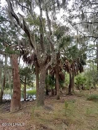 8 Governor Blake Drive, Beaufort, SC 29907