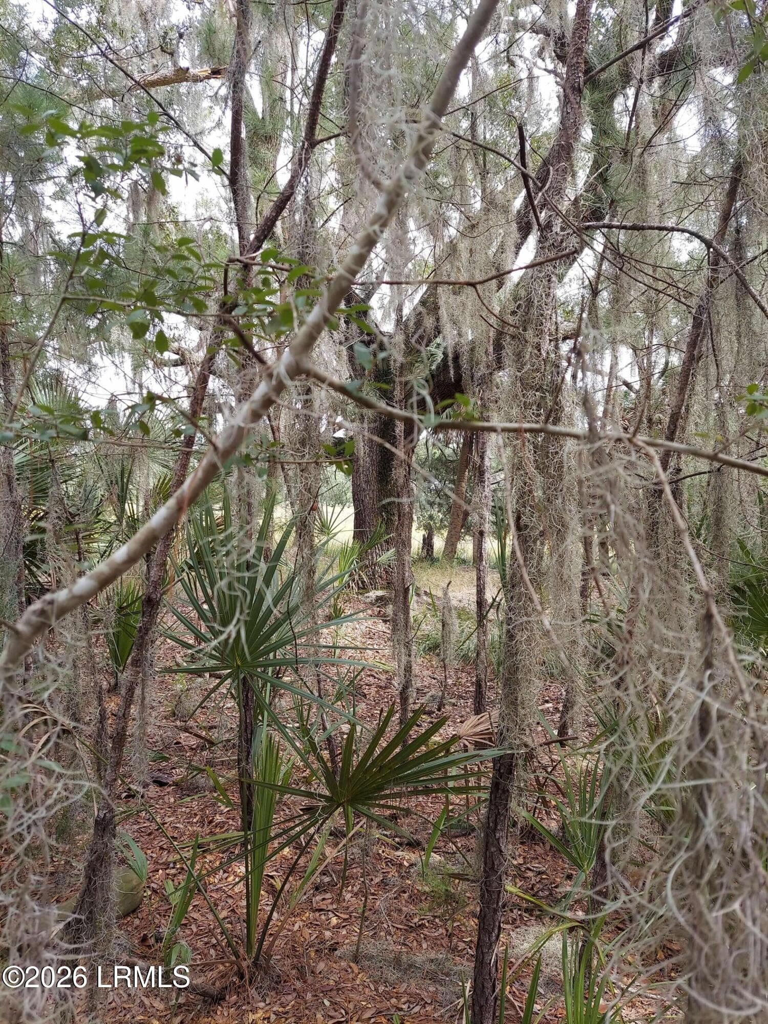 20211010_121526 - 8 Governor Blake Drive, Beaufort, SC 29907