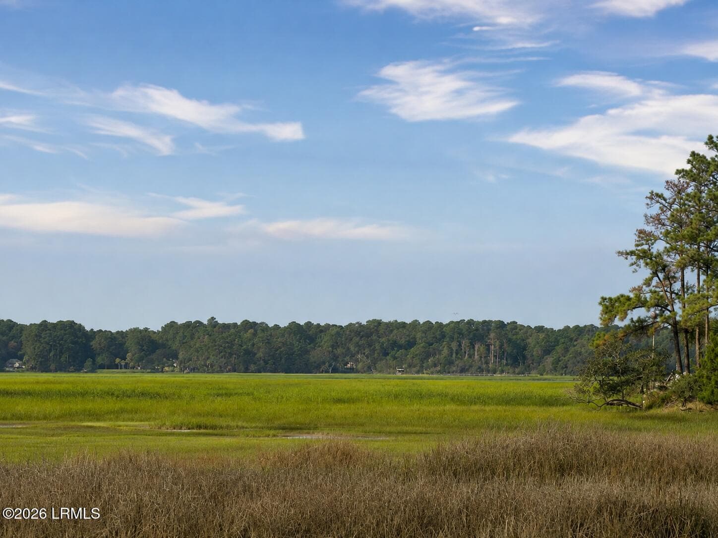 River View - 2 Bent Tree Lane, Okatie, SC 29909