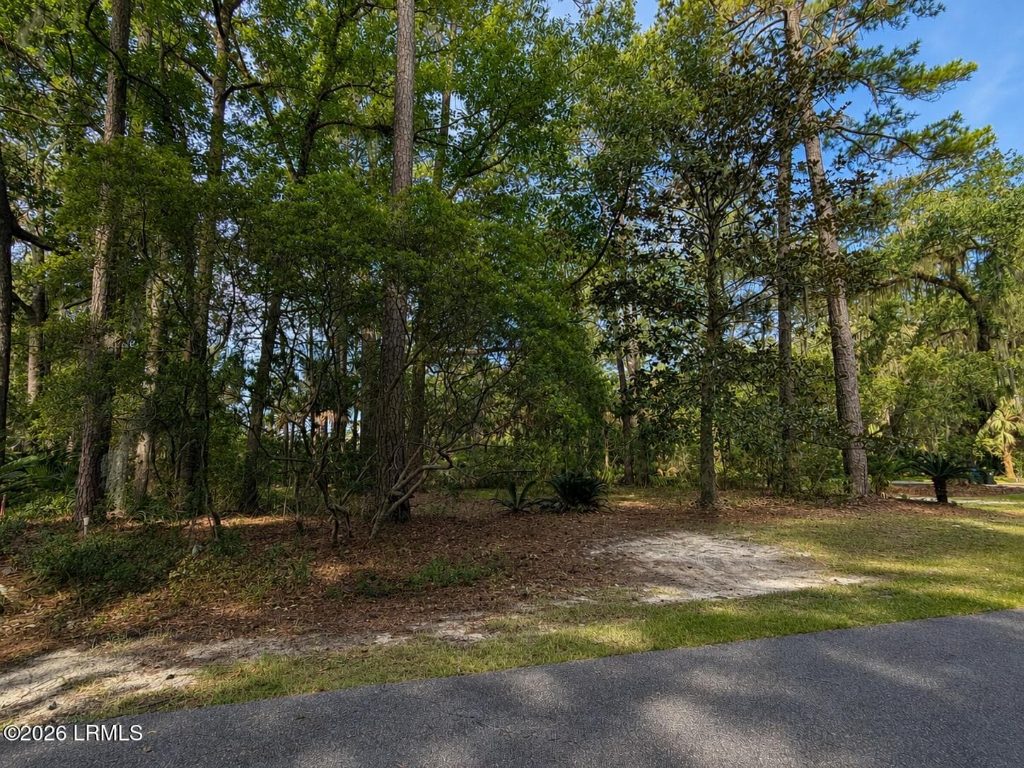 side view - 2 Bent Tree Lane, Okatie, SC 29909