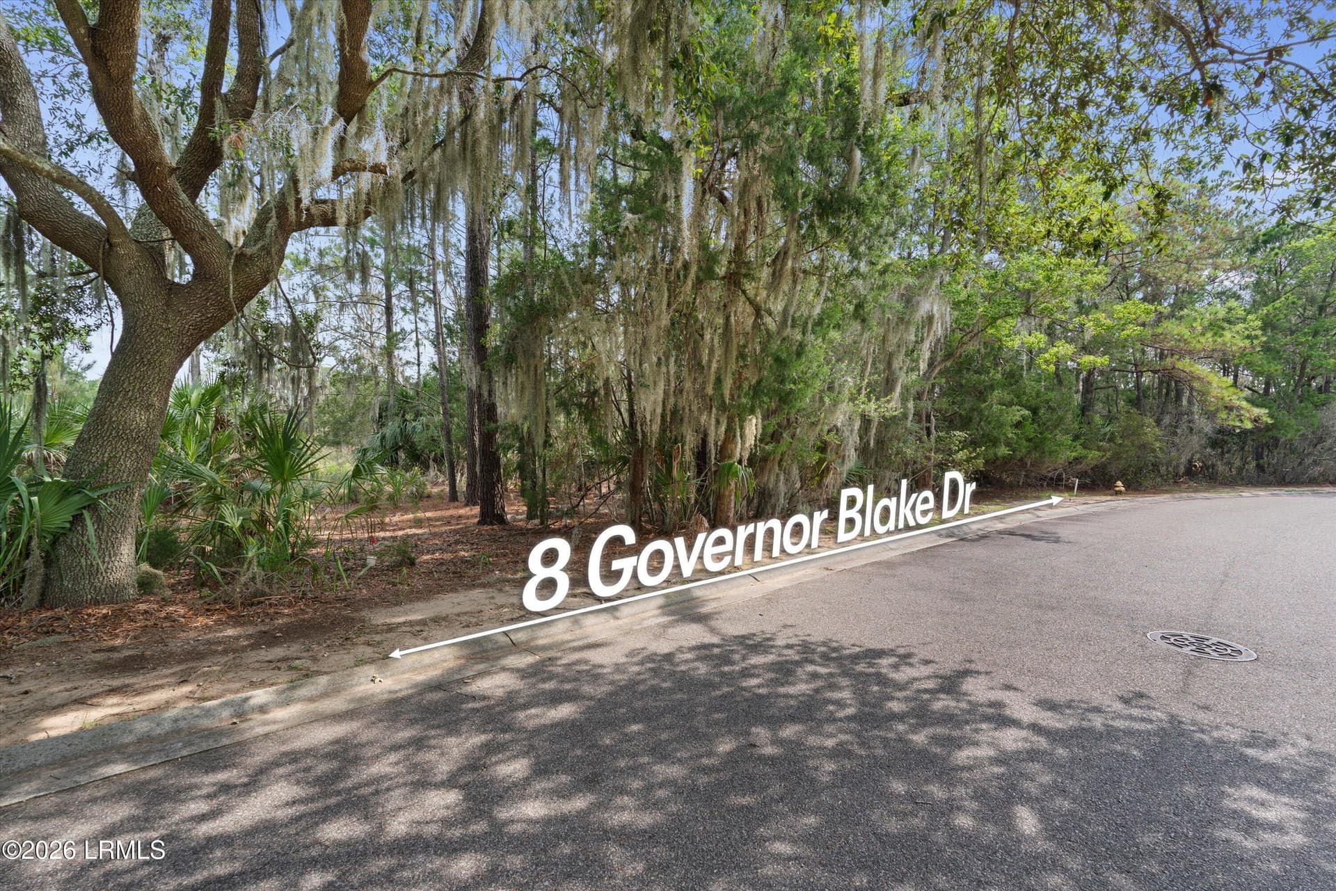 06-8 Governor Blake Dr - 8 Governor Blake Drive, Beaufort, SC 29907
