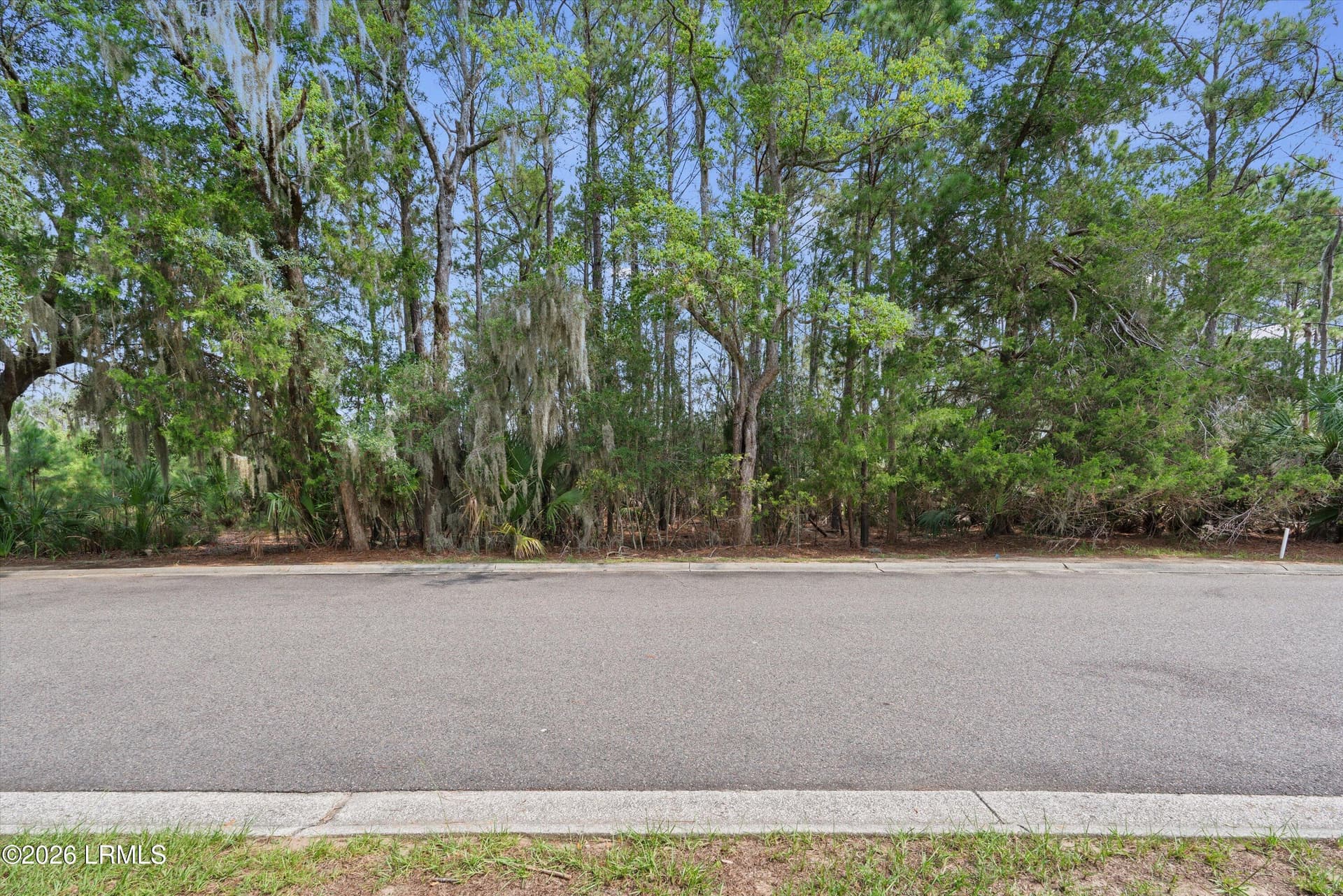 08-8 Governor Blake Dr - 8 Governor Blake Drive, Beaufort, SC 29907