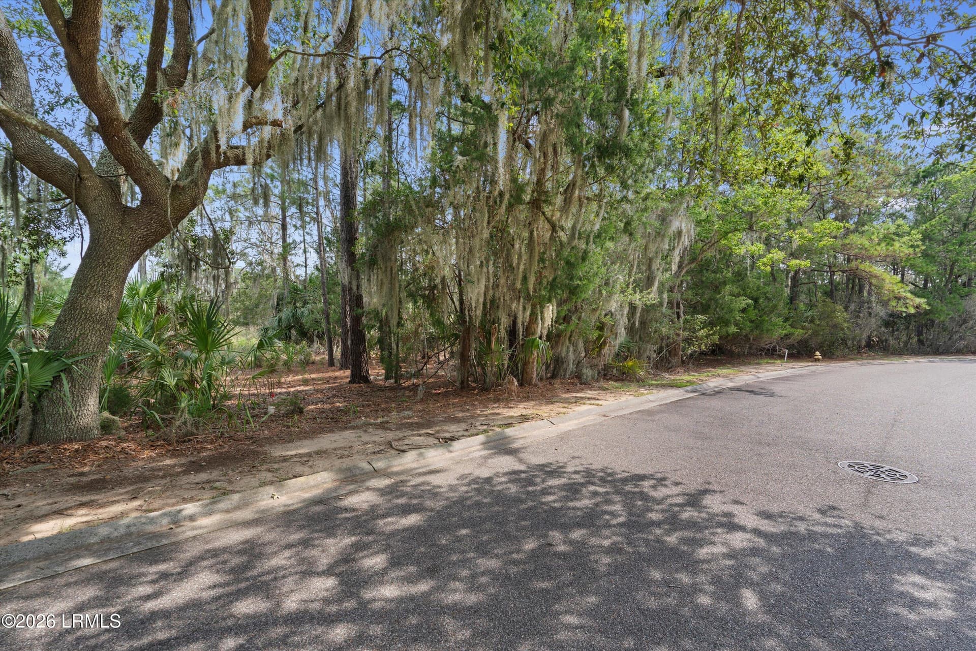 09-8 Governor Blake Dr - 8 Governor Blake Drive, Beaufort, SC 29907