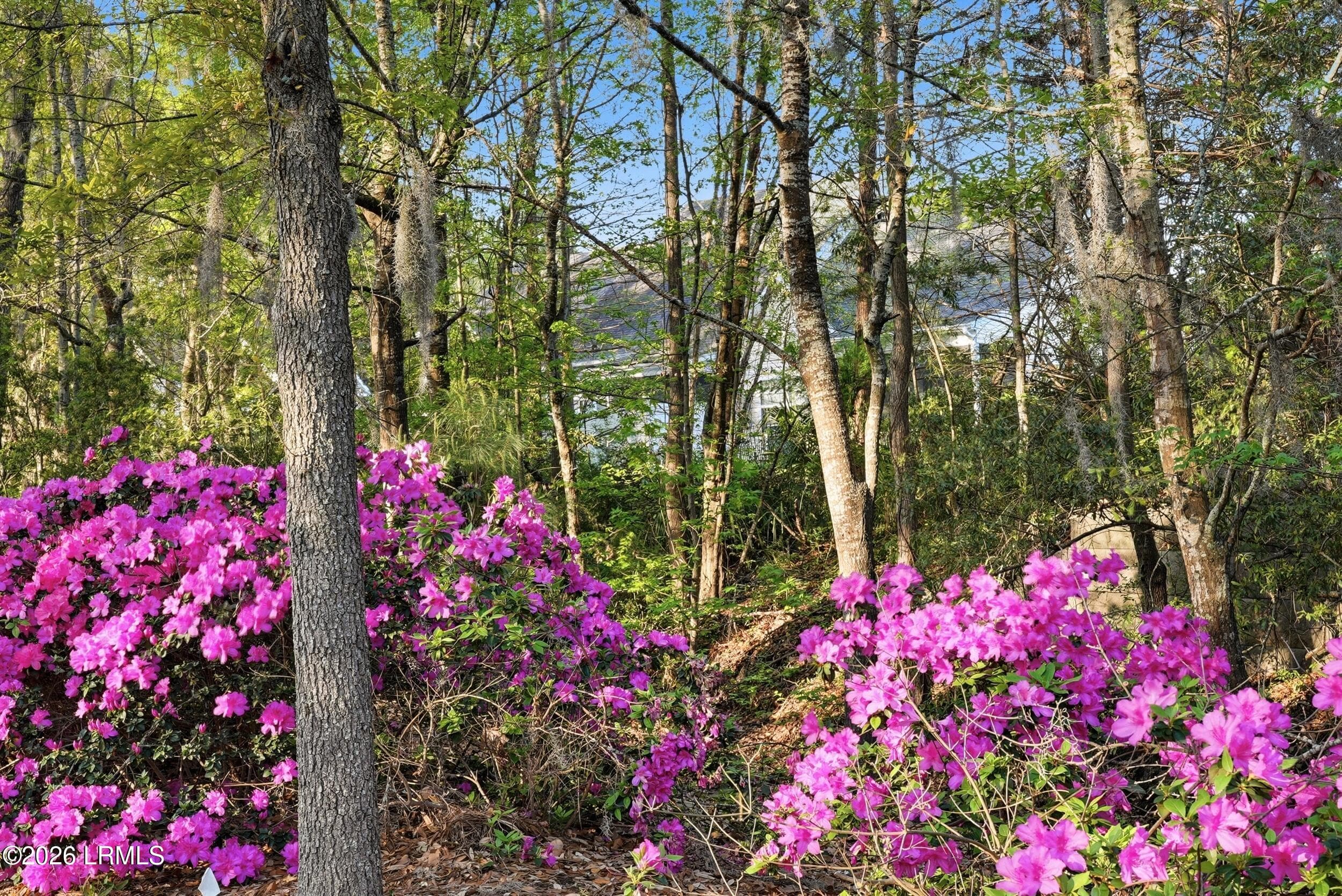32_dsc00077 - 387 Dante Circle, Beaufort, SC 29906