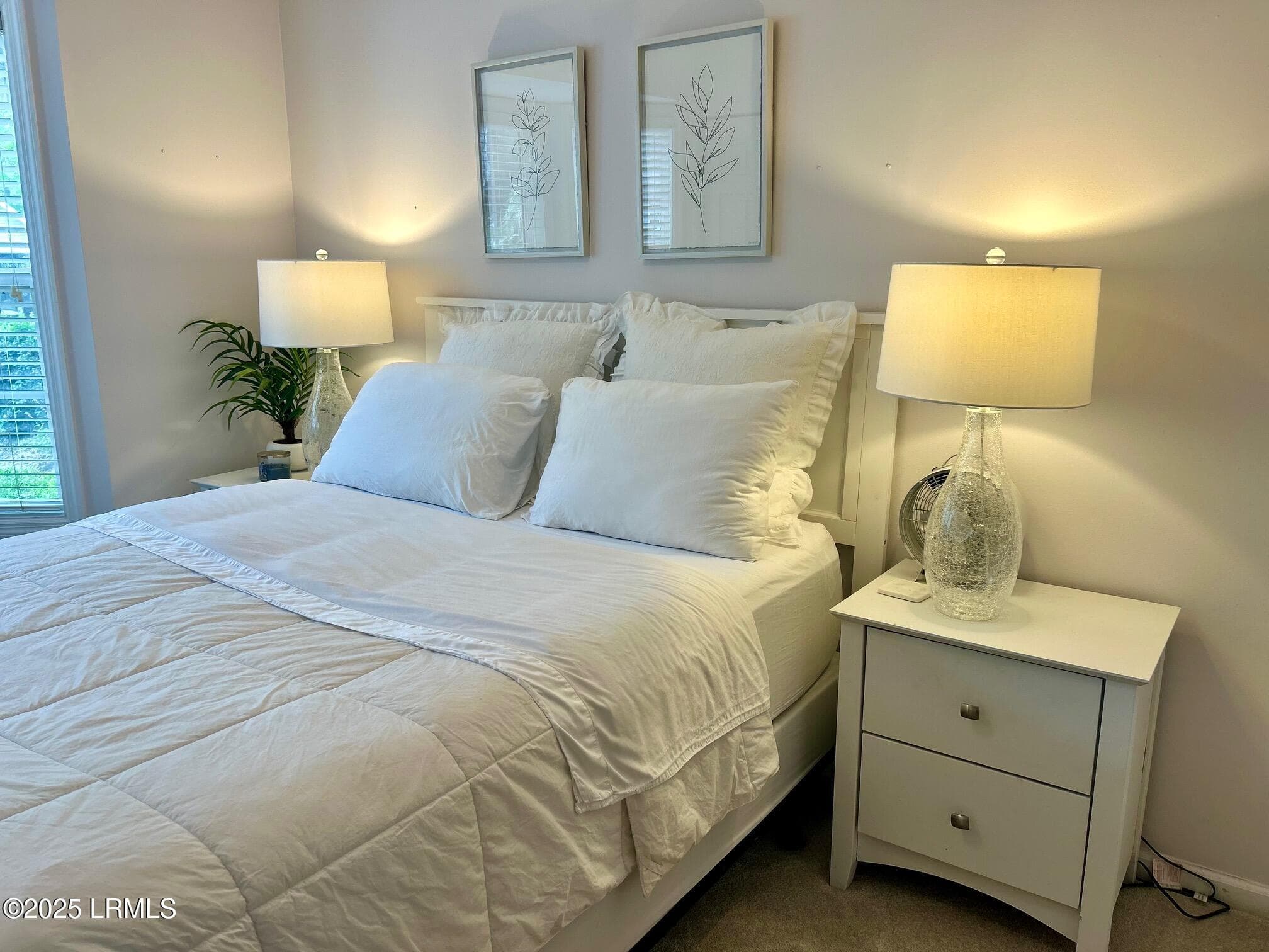 IMG_2341 - 14 Ardmore Avenue, Beaufort, SC 29907